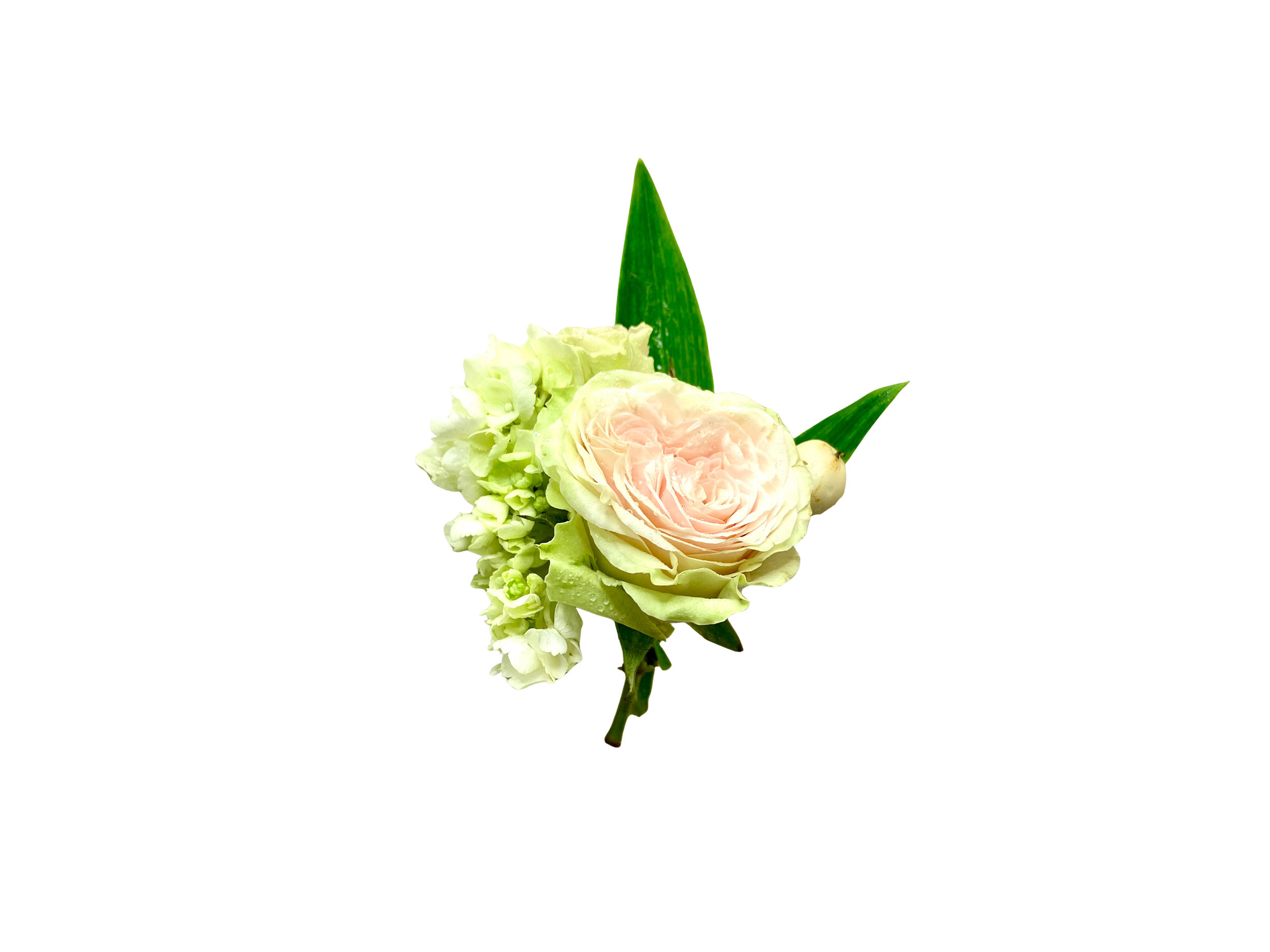 Untitled (8 x 6 in)-37.png