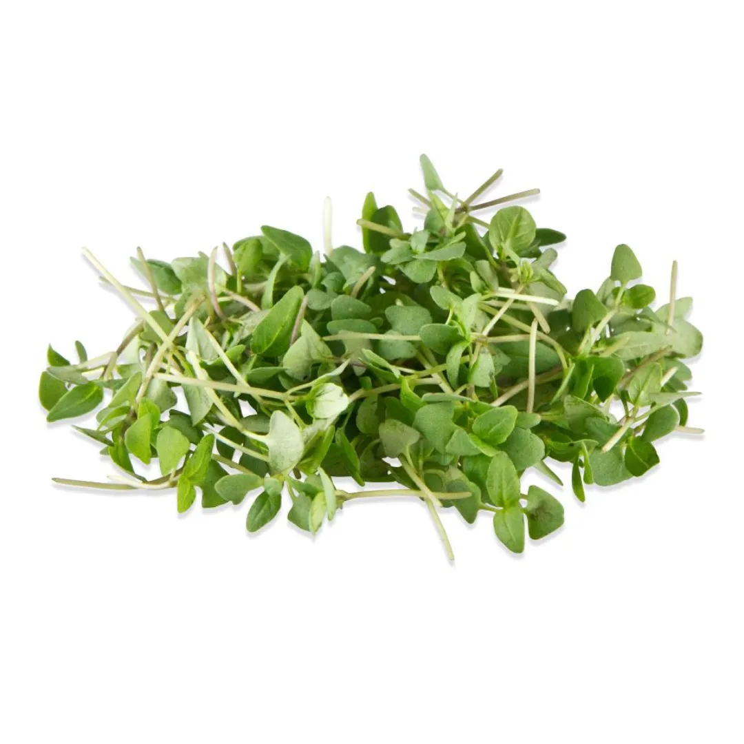 BMF-Basil-Genovese.png