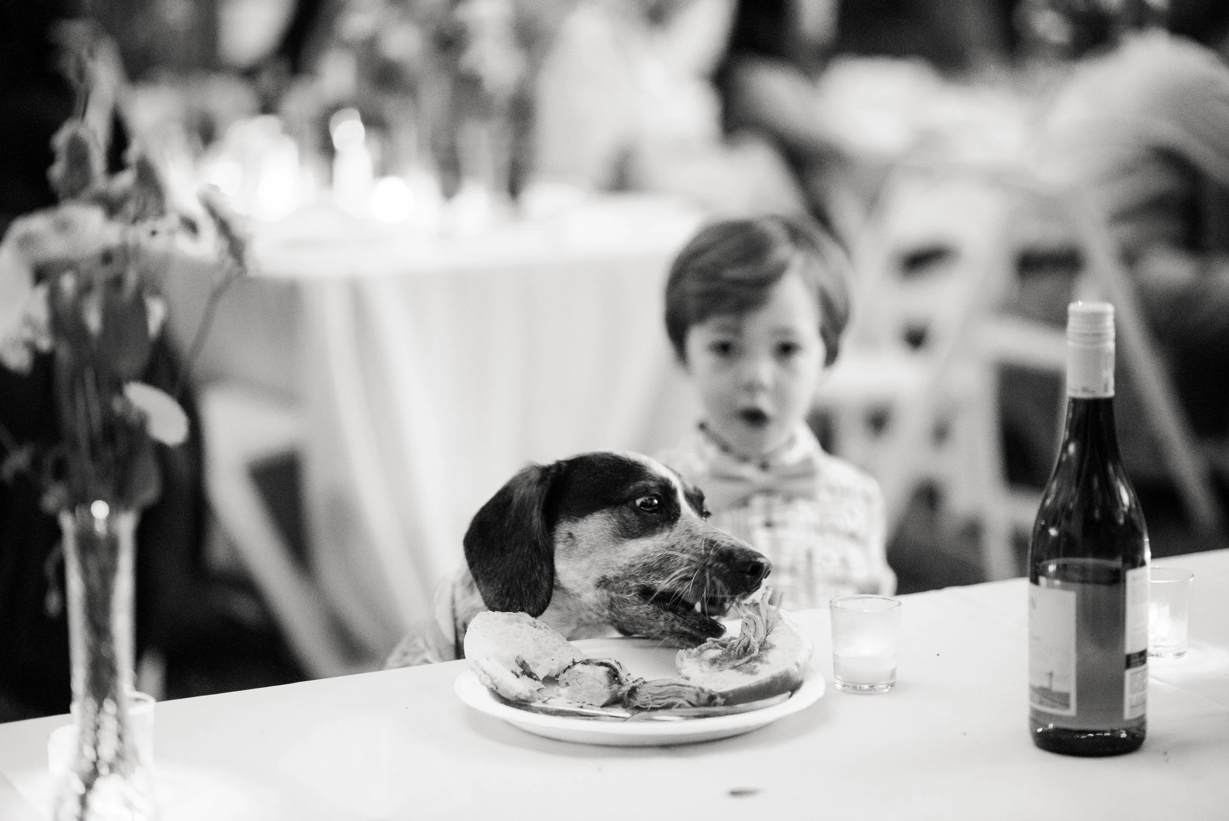 Stolen Wedding Dinner, documented by Josie Macbeth.