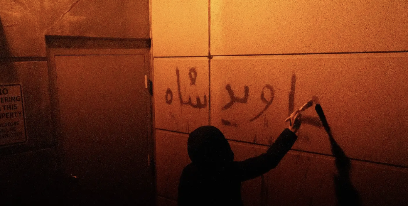 "shoot me", 2026
