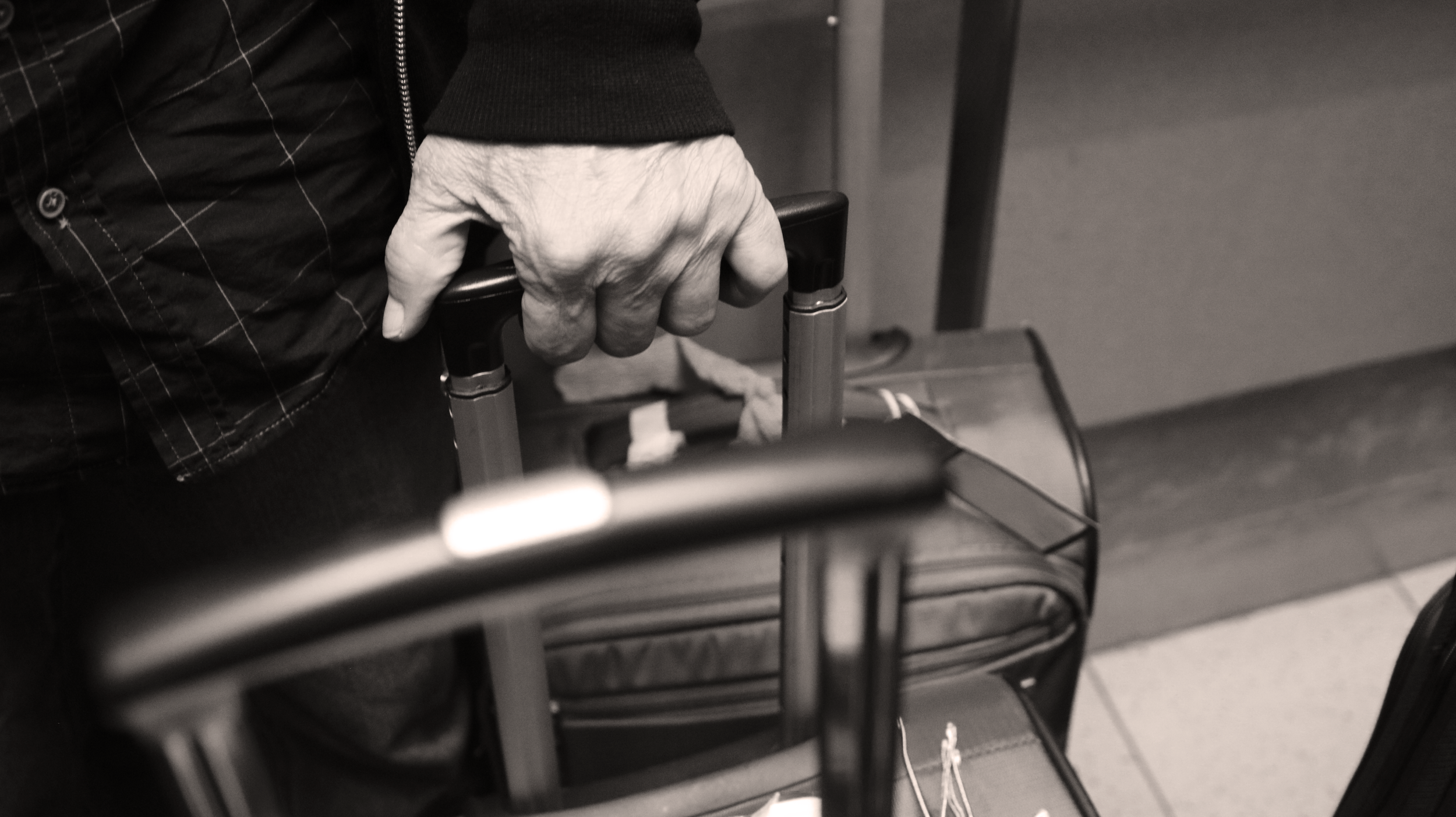 "Gossip", 2024
(editions of 6)