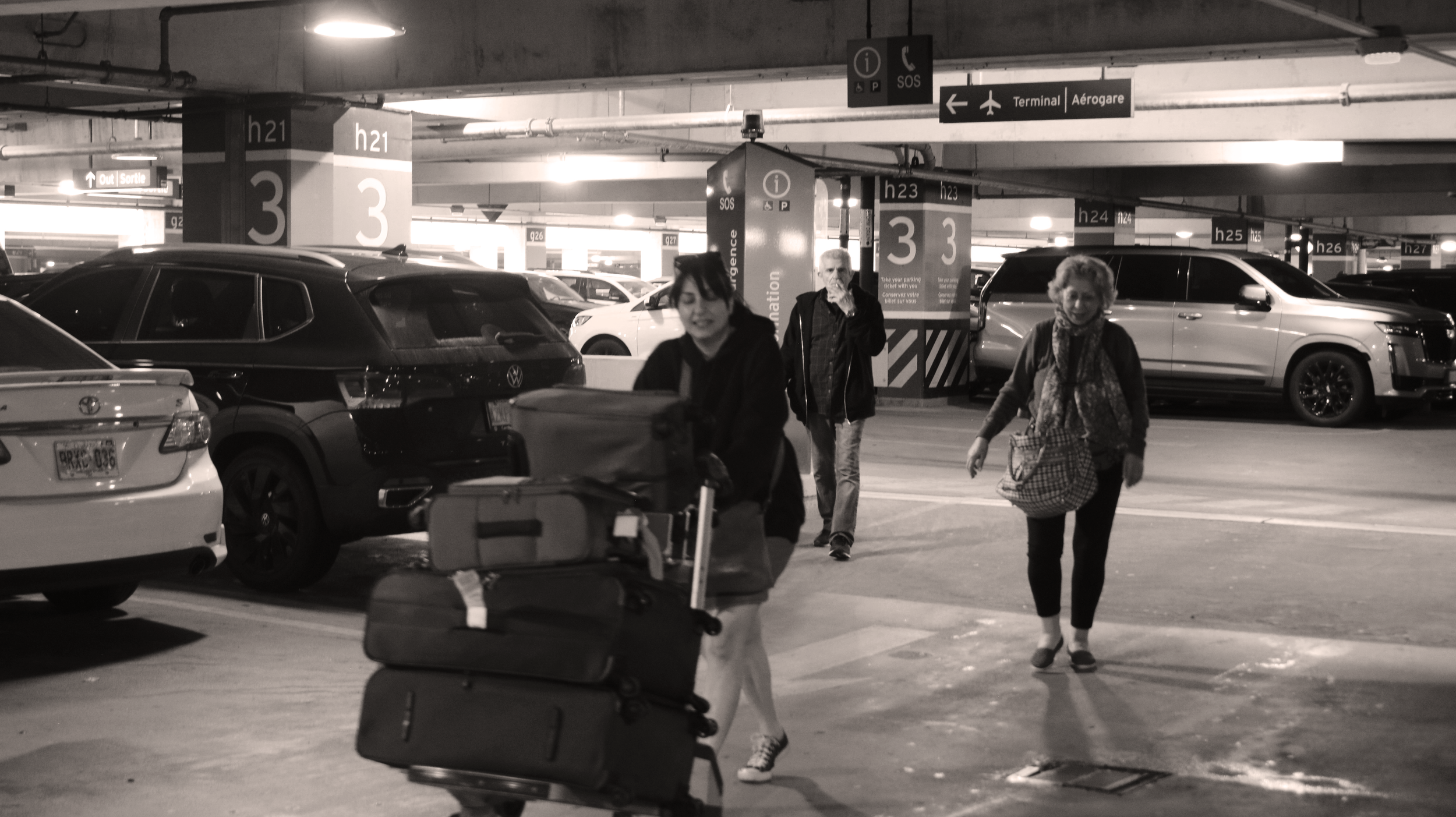 "Gossip", 2024
(editions of 6)