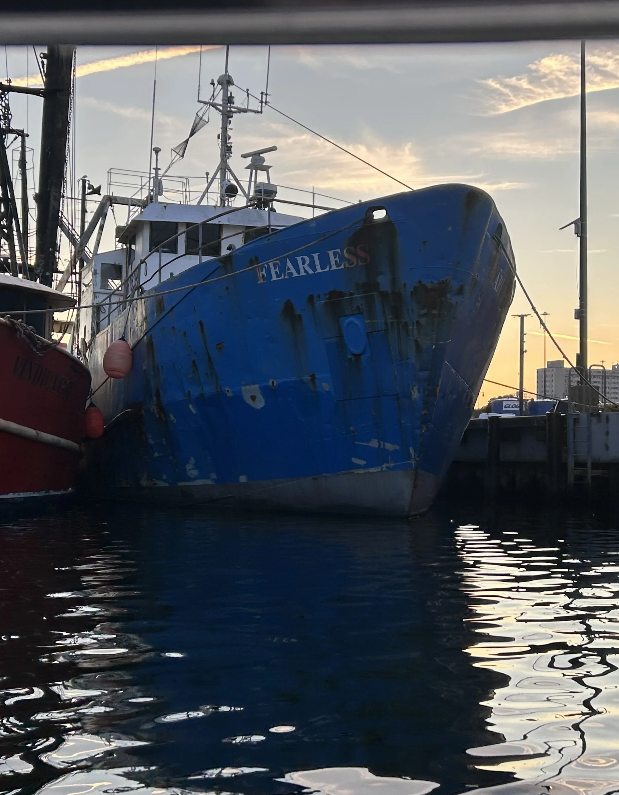 A Little (Much Needed) Winter Inspiration