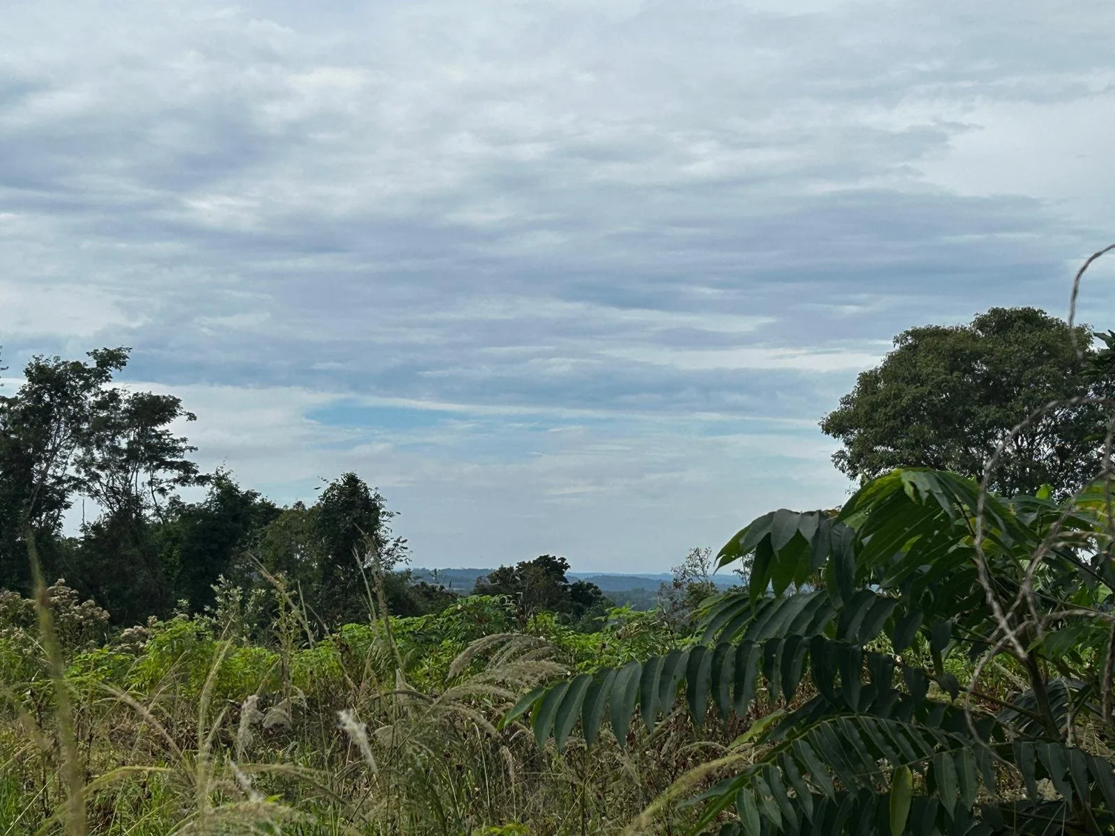 WhatsApp Image 2026-04-24 at 00.24.50 (1).jpeg