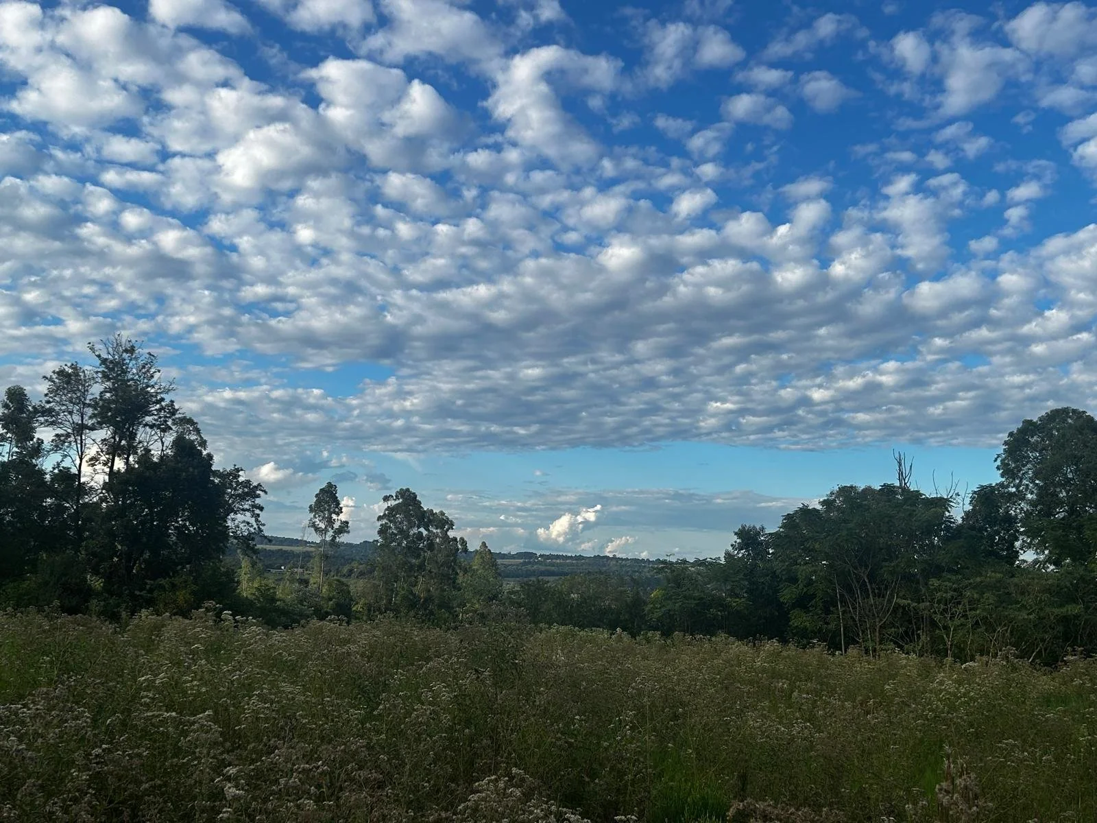 WhatsApp Image 2026-04-24 at 00.48.49 (1).jpeg