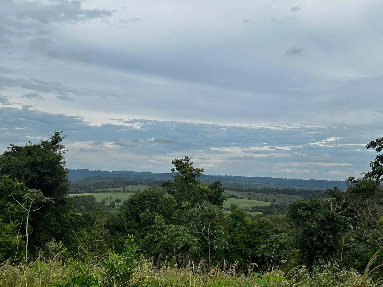 WhatsApp Image 2026-04-24 at 00.24.50 (3).jpeg