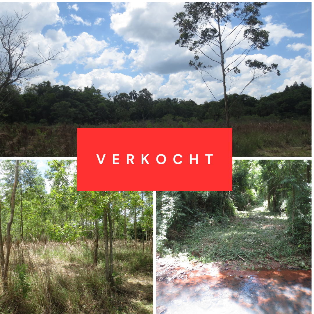 9 Hectare in Alborada