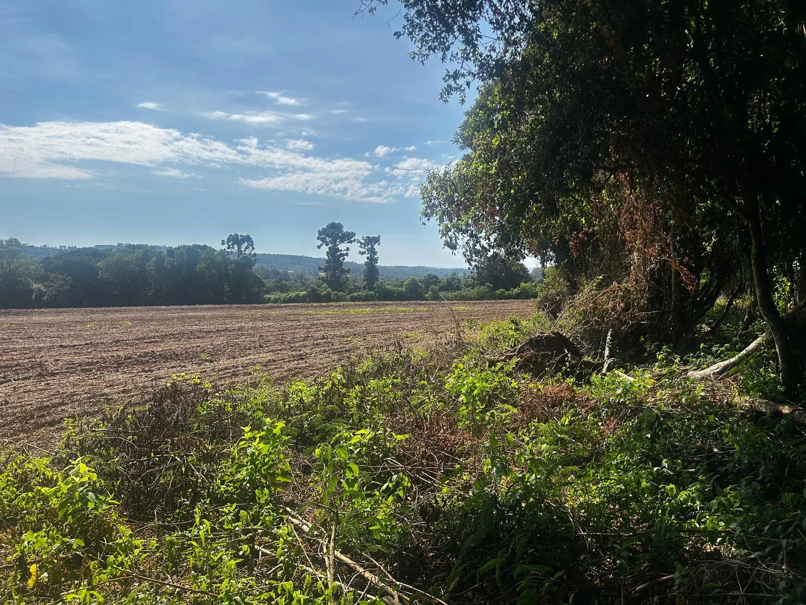 TE KOOP – Mooie bouw- en investeringsgronden richting haven van Obligado