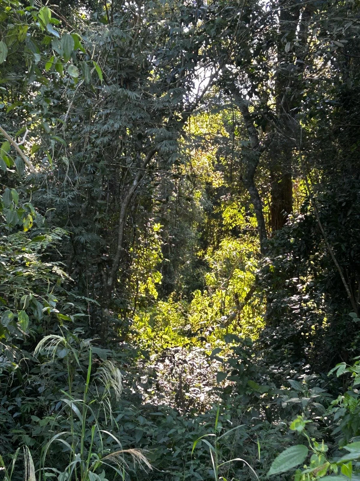 WhatsApp Image 2026-04-01 at 20.45.33 (3).jpeg