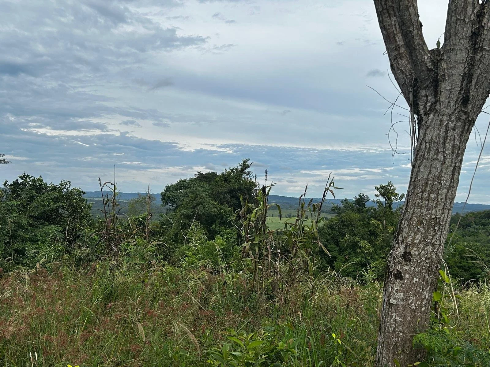 WhatsApp Image 2026-04-24 at 00.24.50 (2).jpeg