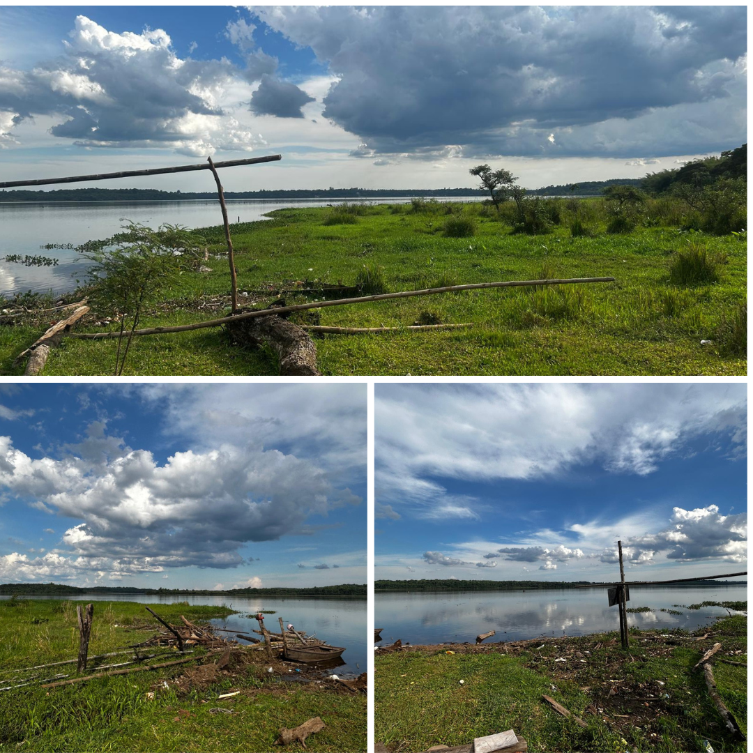 Minimalist Summer Photo Collage Instagram Post (25).png