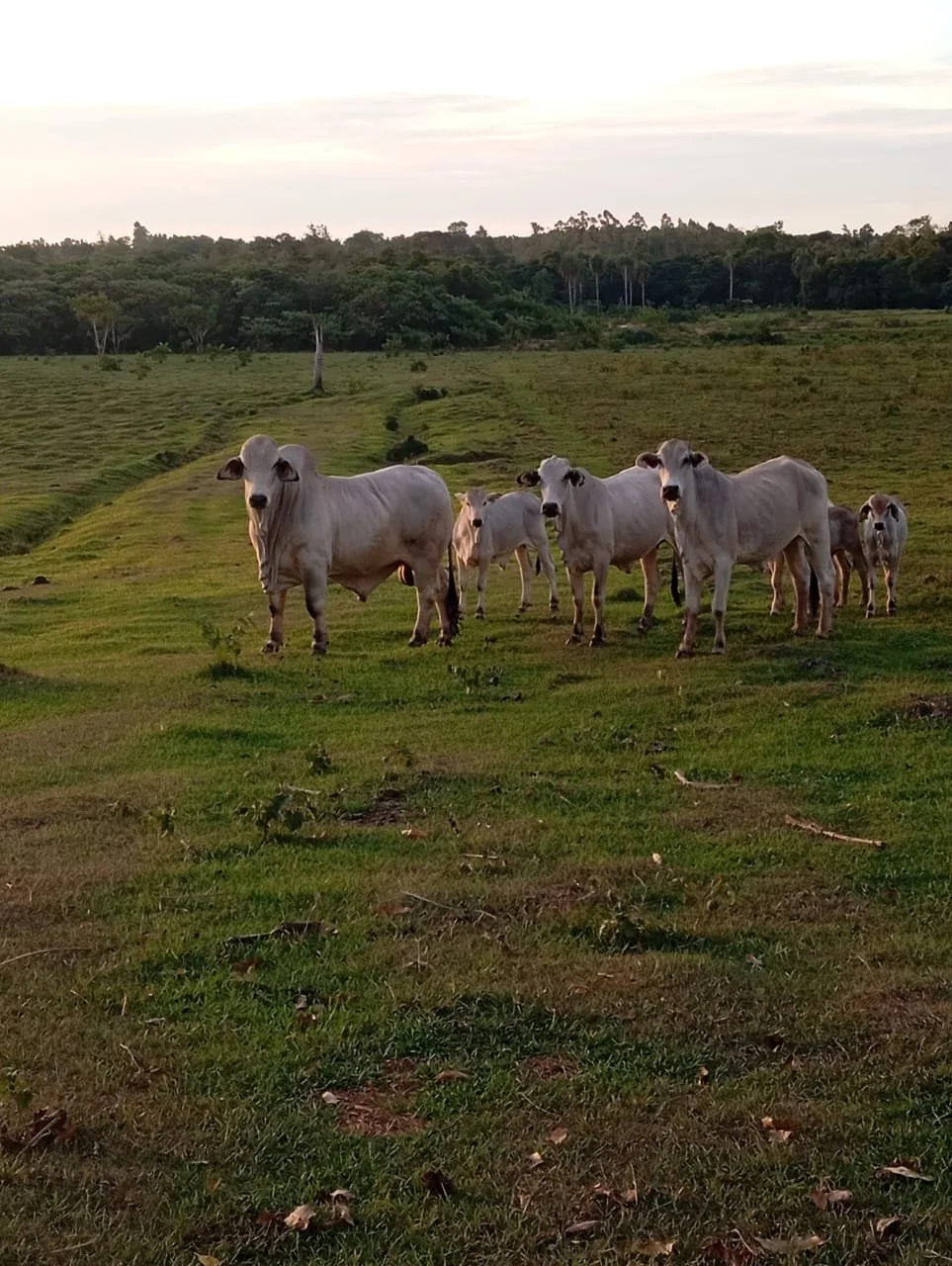 WhatsApp Image 2026-04-16 at 17.05.07.jpeg