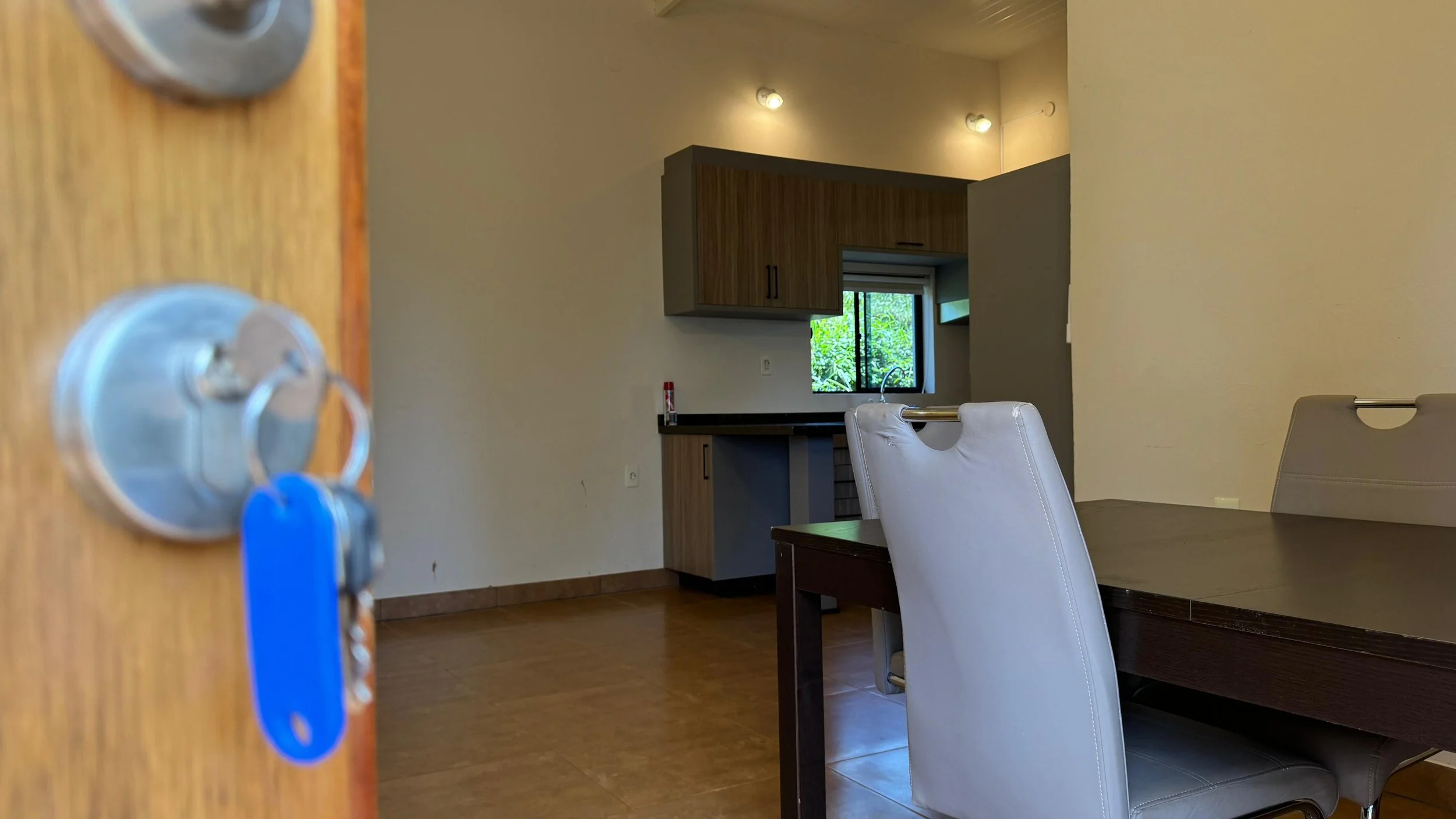 Afbeelding van WhatsApp op 2024-11-11 om 19.33.07_a2bd572c.jpg