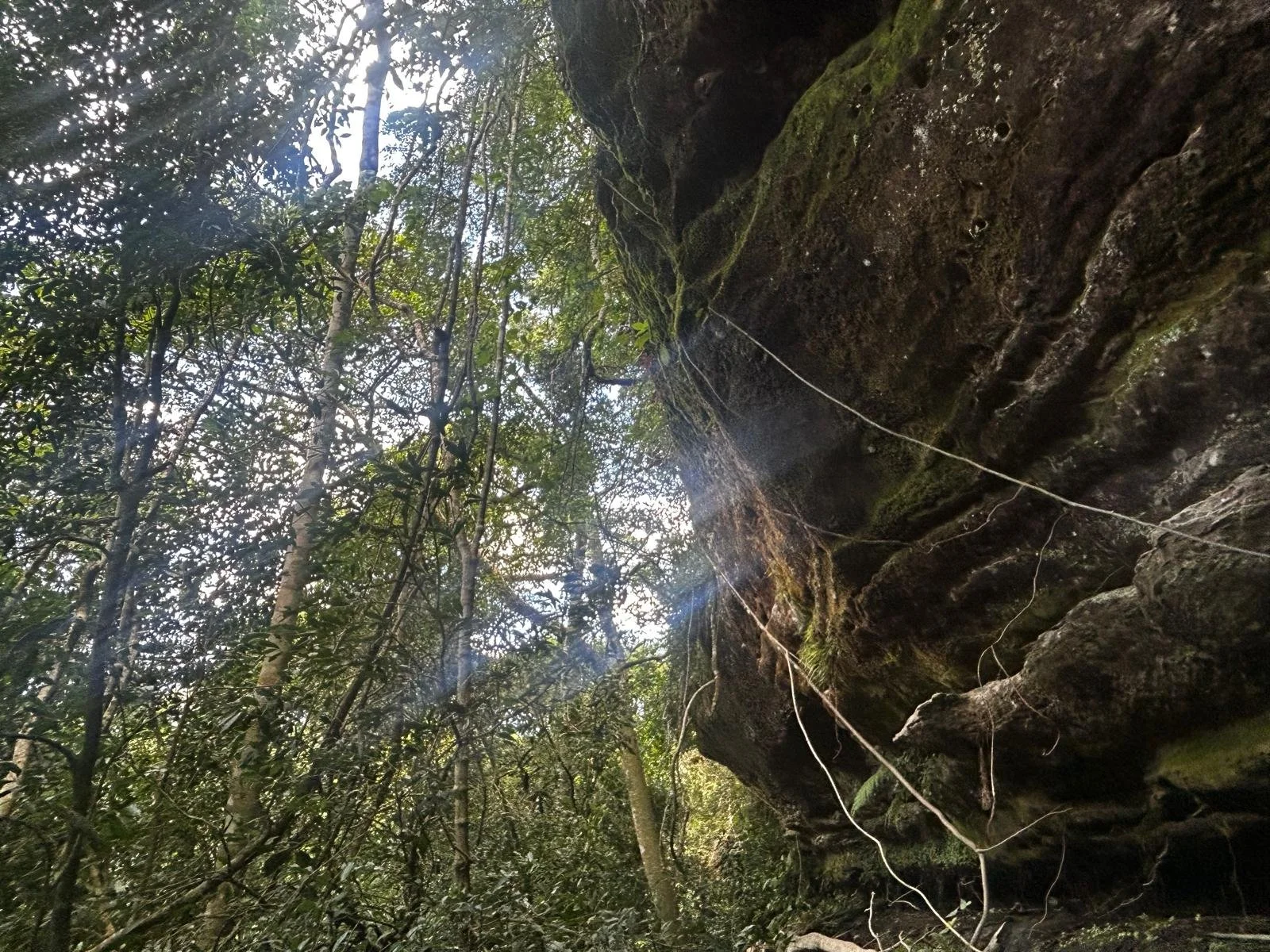 WhatsApp Image 2026-04-24 at 01.37.06 (5).jpeg