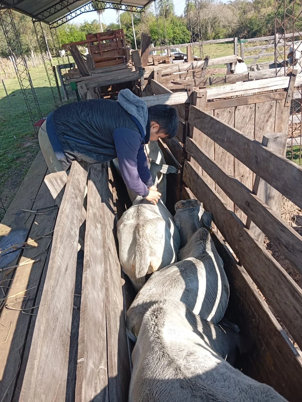 WhatsApp Image 2026-04-16 at 17.05.08 (1).jpeg