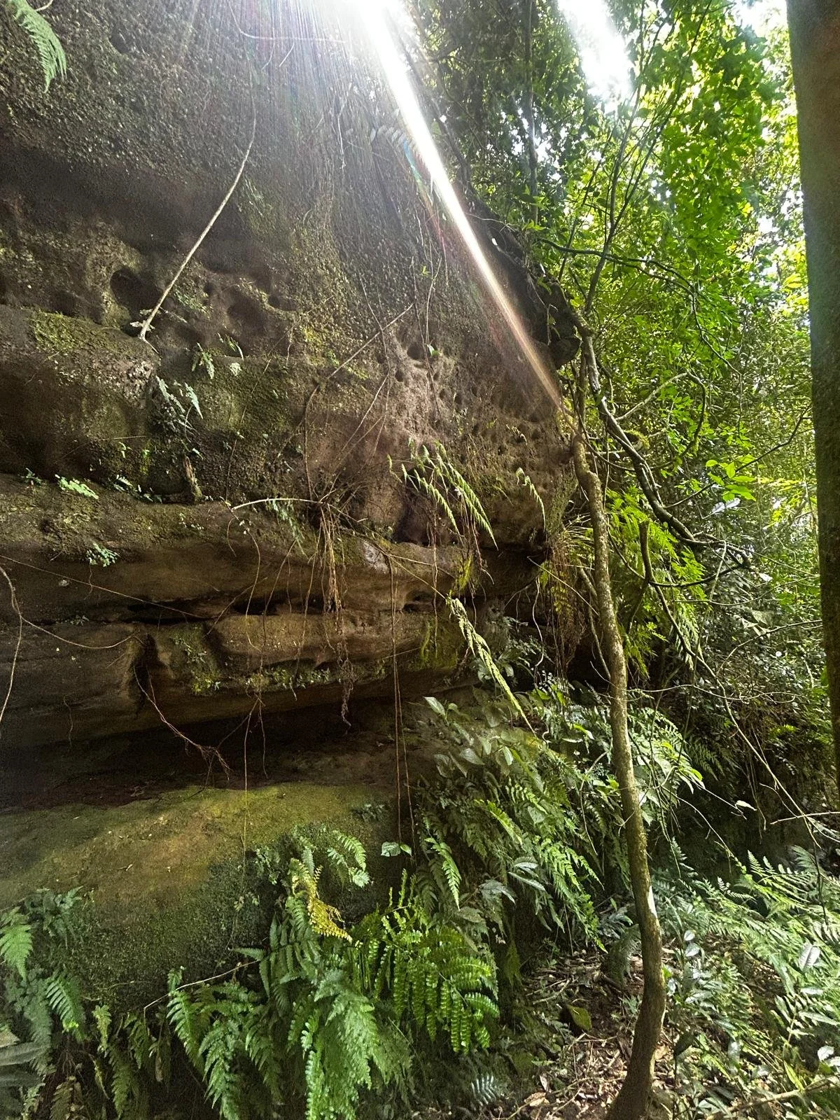 WhatsApp Image 2026-04-24 at 01.37.06 (3).jpeg