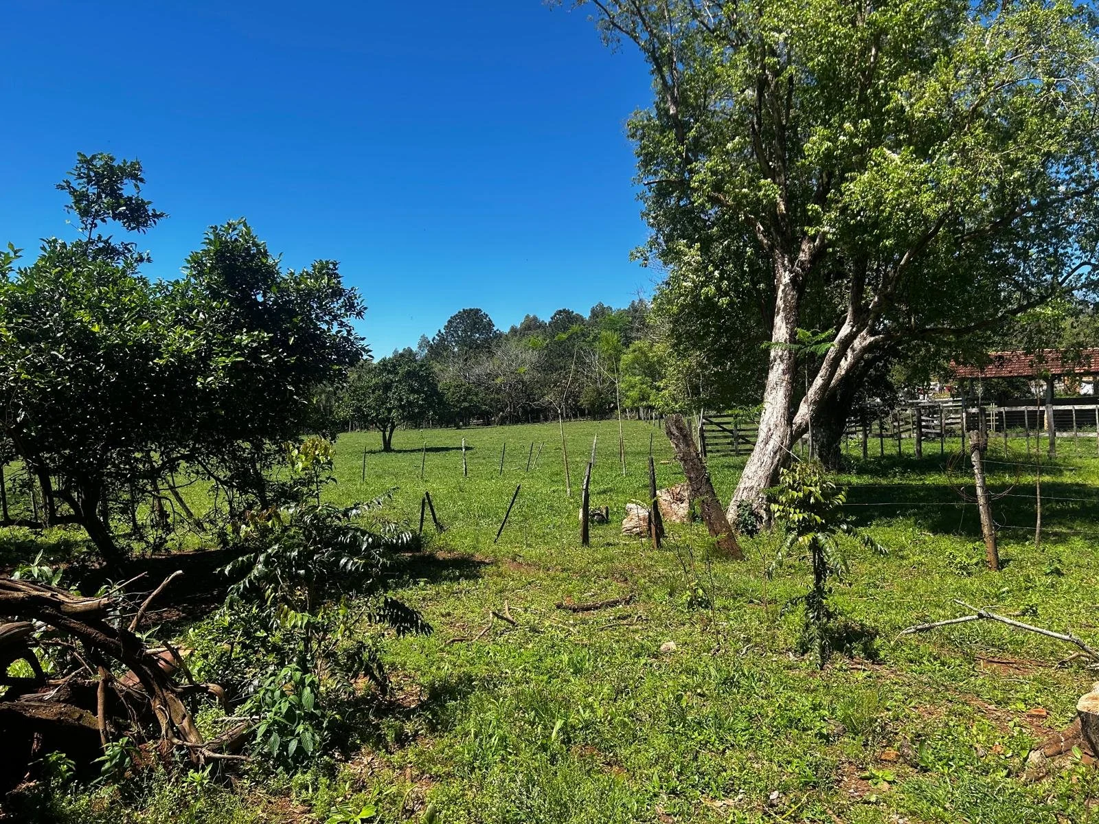 12,9 ha in Bella Vista Vacay