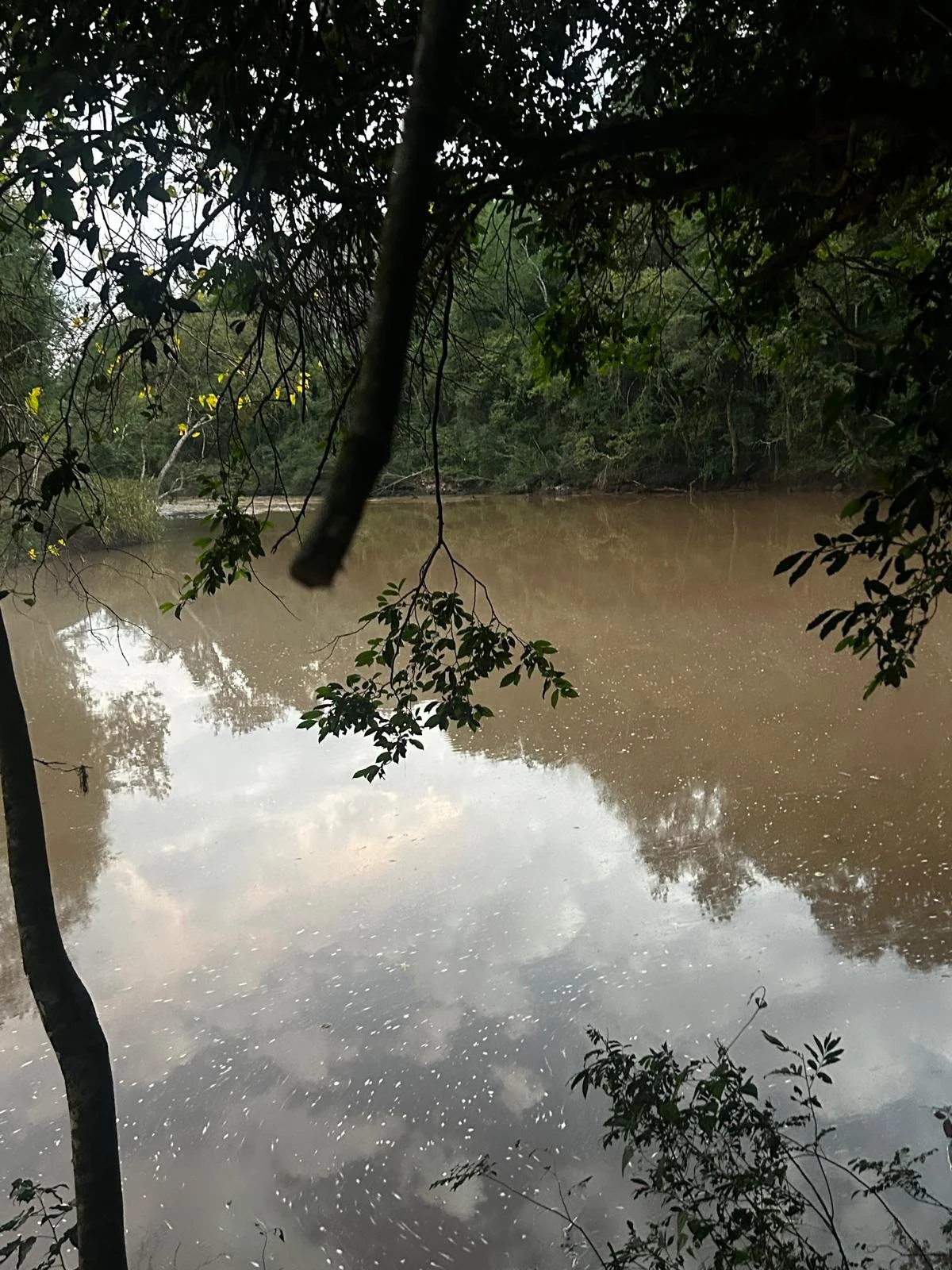 1 ha direct aan de Capibari prachtig gelegen met stroom en water
