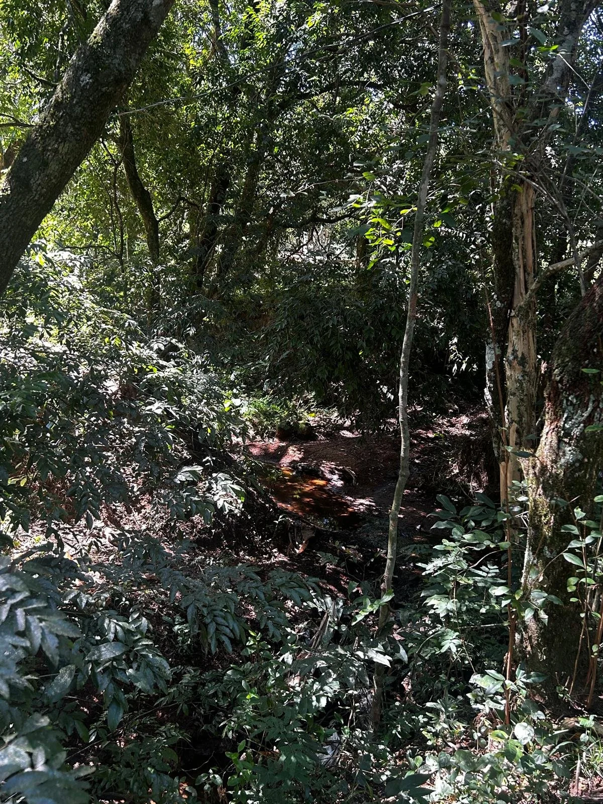 WhatsApp Image 2026-04-01 at 20.22.11.jpeg