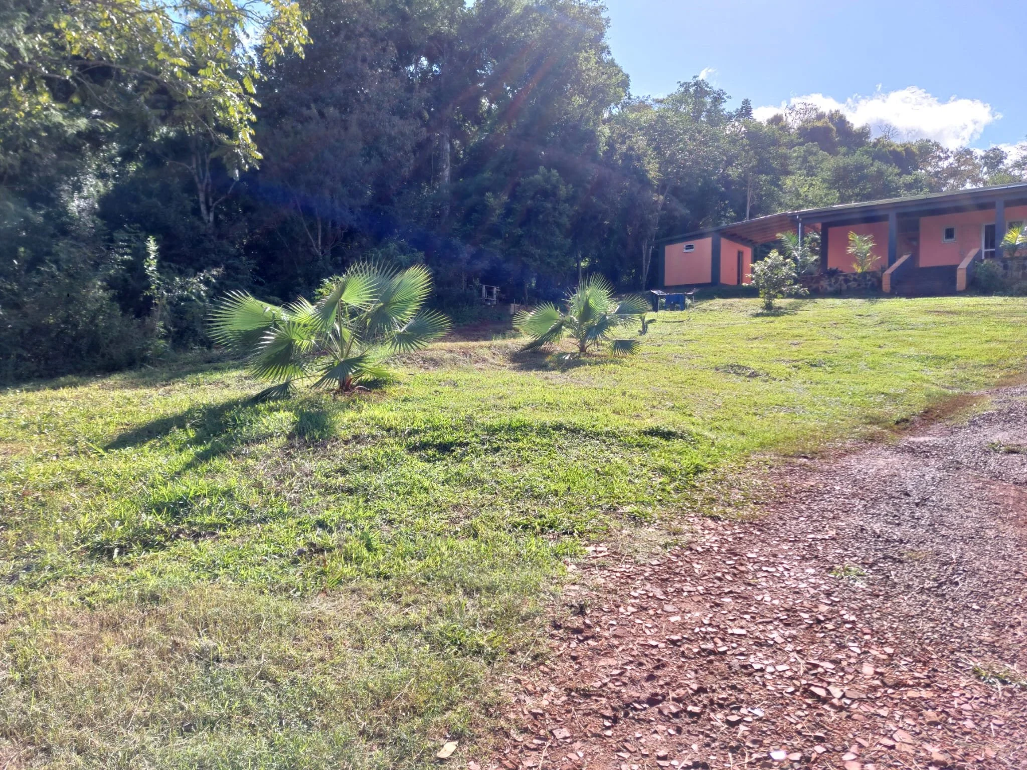 WhatsApp Image 2026-03-30 at 21.04.19.jpeg