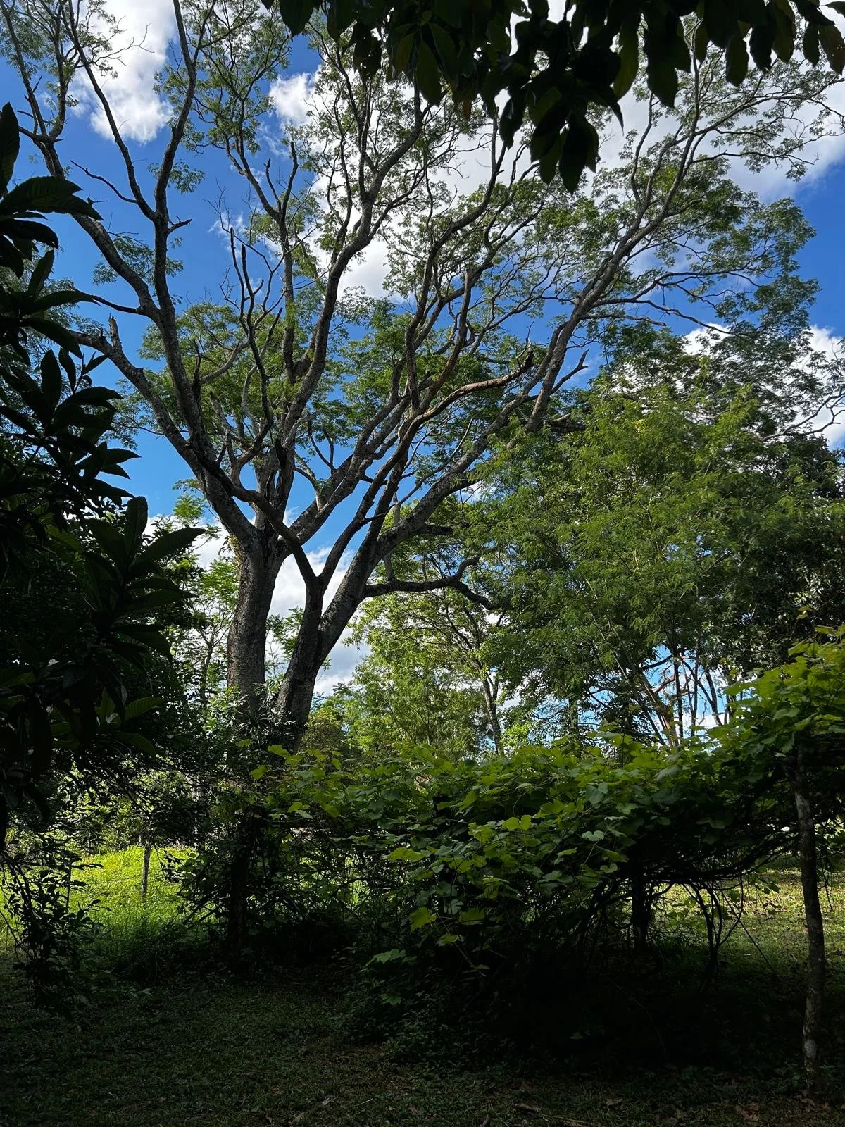 WhatsApp Bild 2025-11-01 um 23.44.01_a902e0c4.jpg