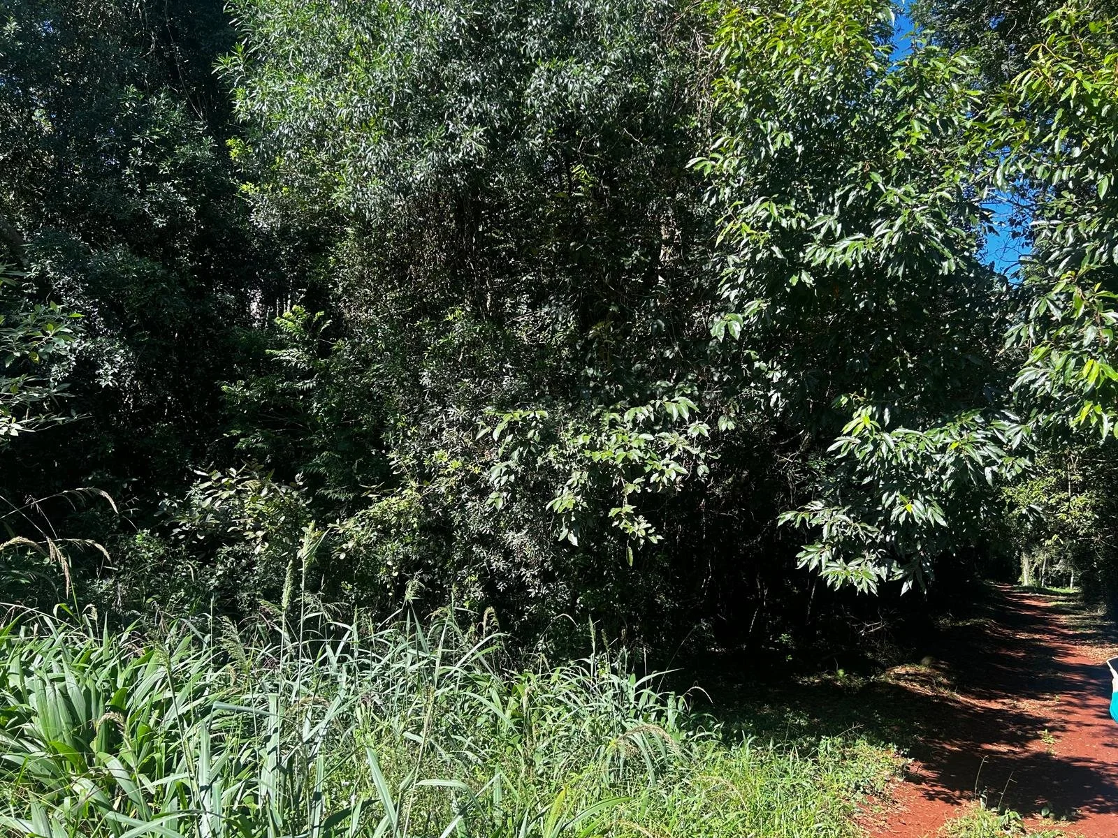 WhatsApp Image 2026-04-15 at 01.47.40.jpeg