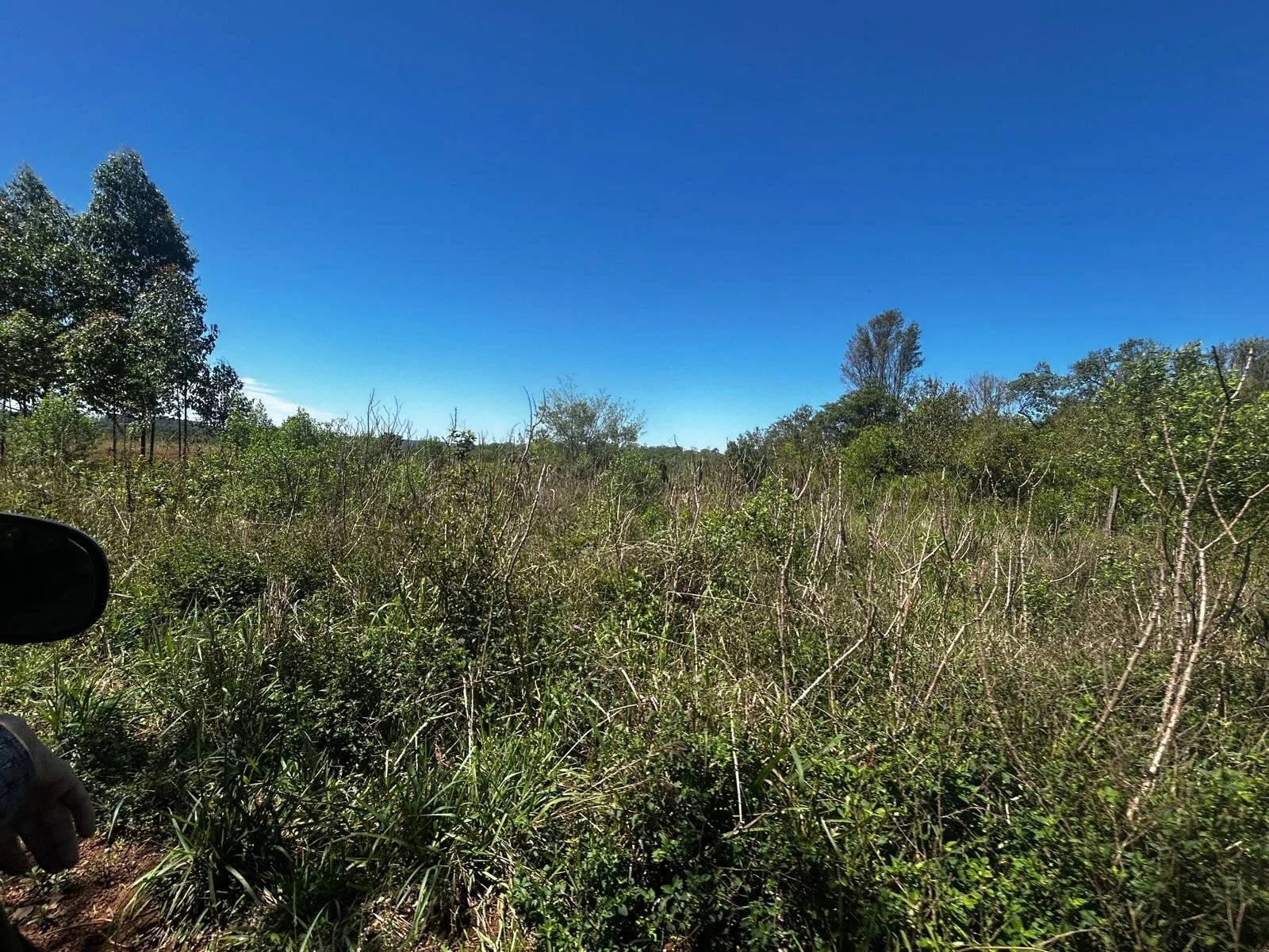 WhatsApp Image 2026-02-06 at 08.39.01.jpeg