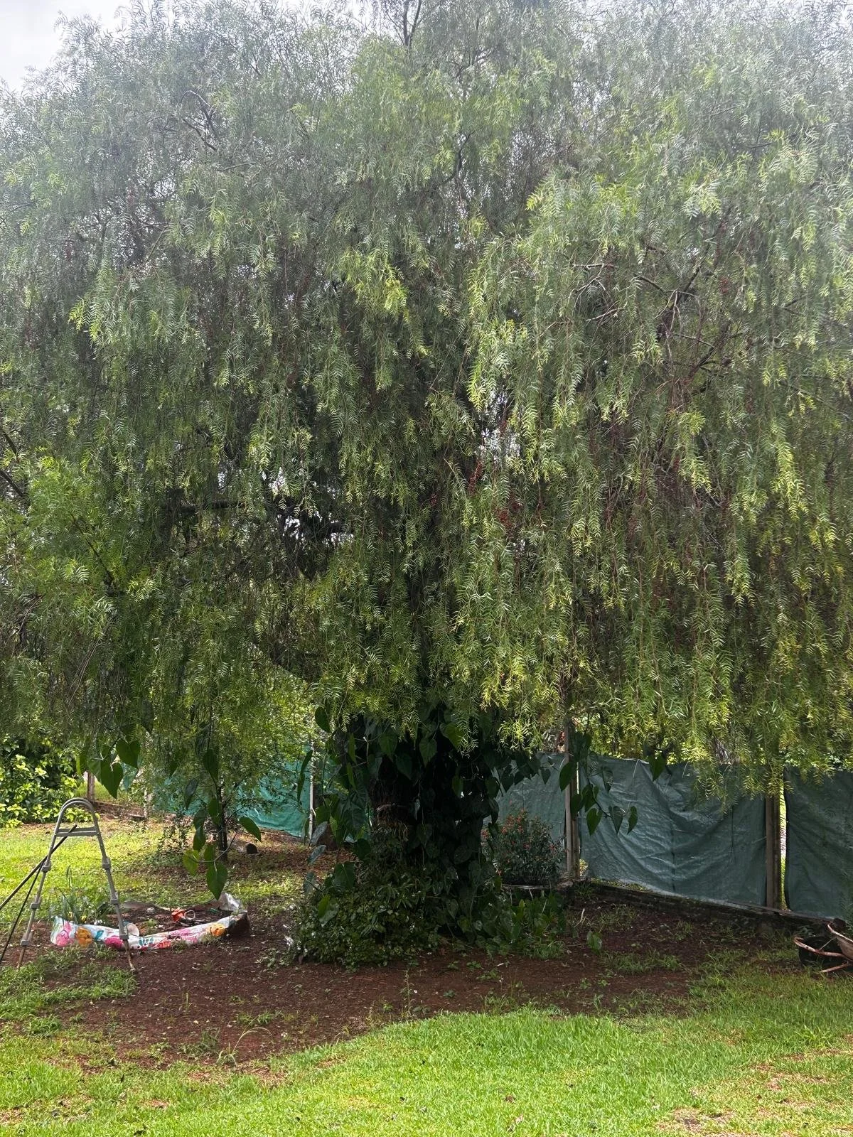 WhatsApp Image 2026-04-11 at 00.58.59 (10).jpeg