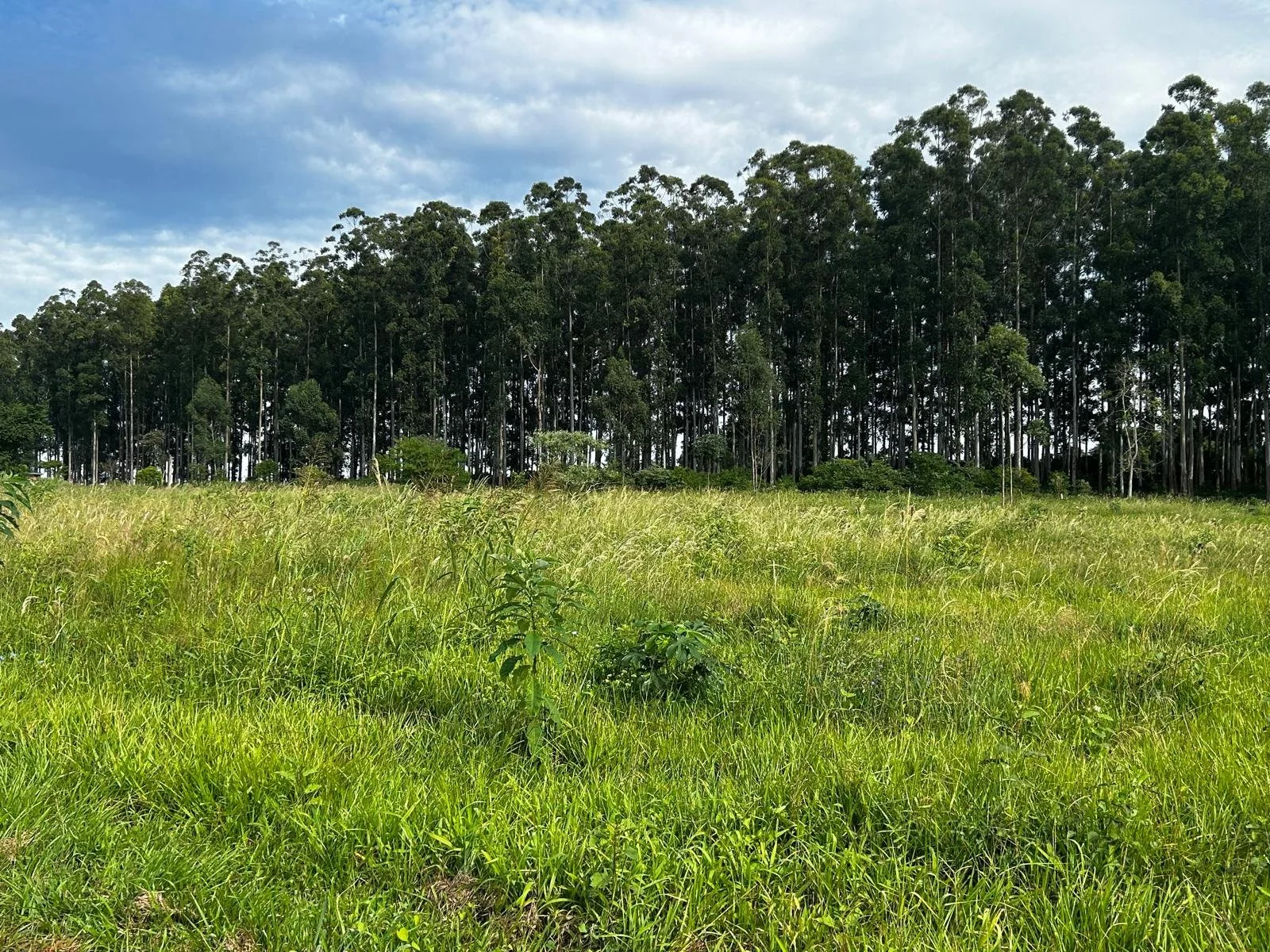 WhatsApp Image 2026-04-24 at 00.48.50 (3).jpeg