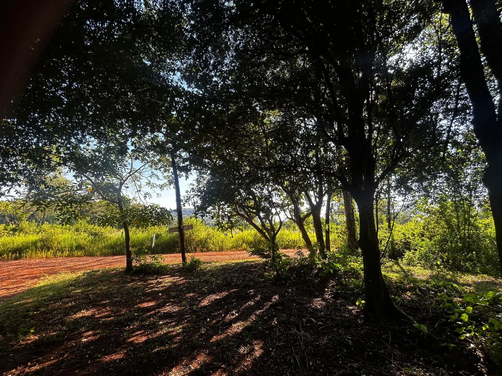 WhatsApp Image 2026-02-07 at 15.41.22.jpeg