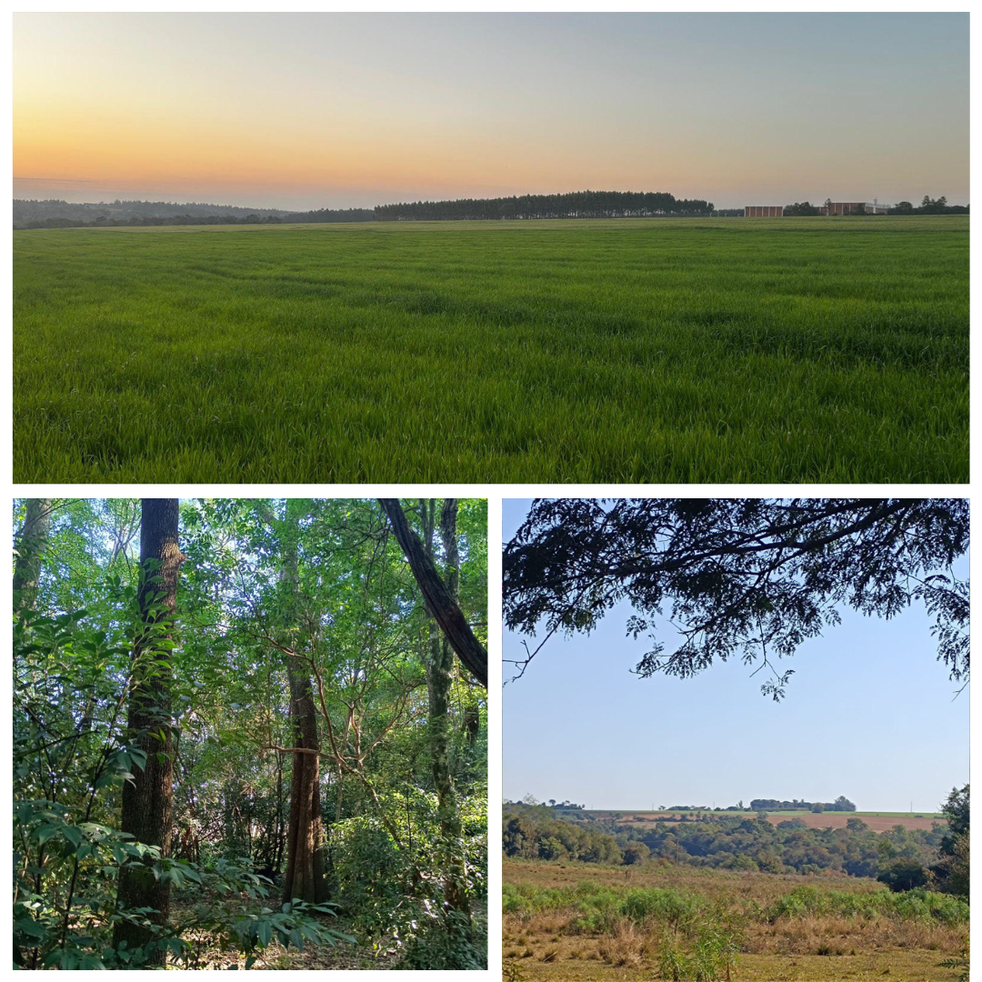 Beige Minimalistic Photo Collage Instagram Post (4).png