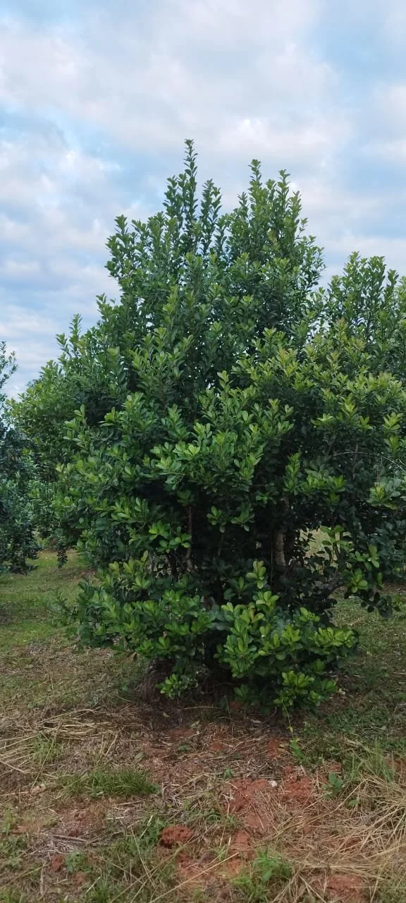 WhatsApp Image 2026-04-22 at 11.20.03 (2).jpeg