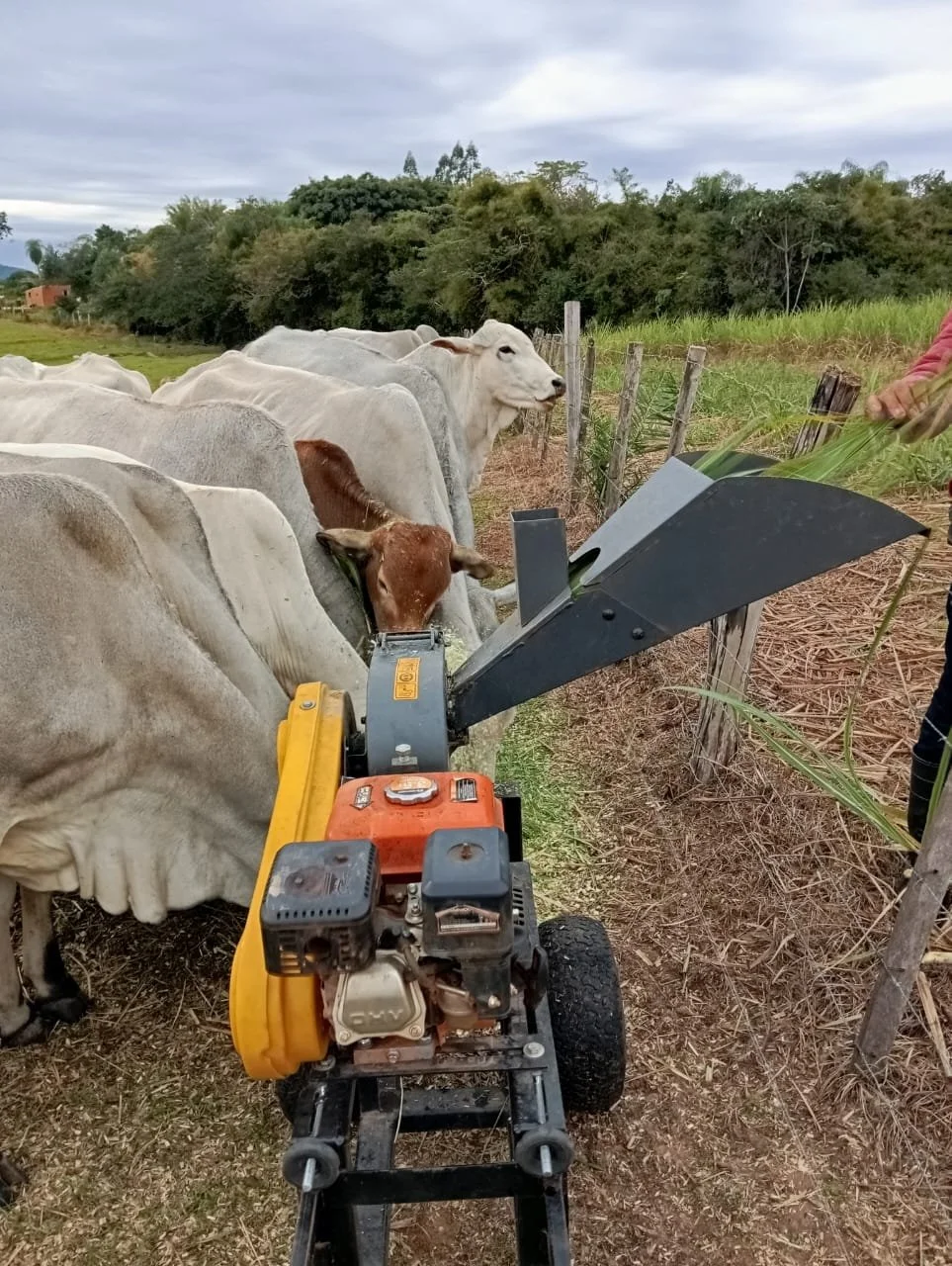 WhatsApp Image 2026-04-16 at 17.05.07 (1).jpeg