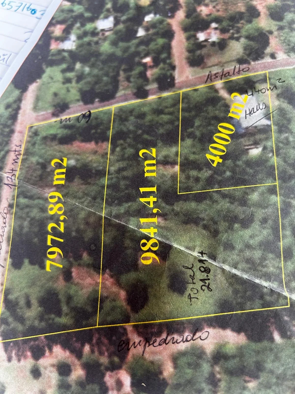 WhatsApp Image 2026-04-08 at 15.52.29.jpeg