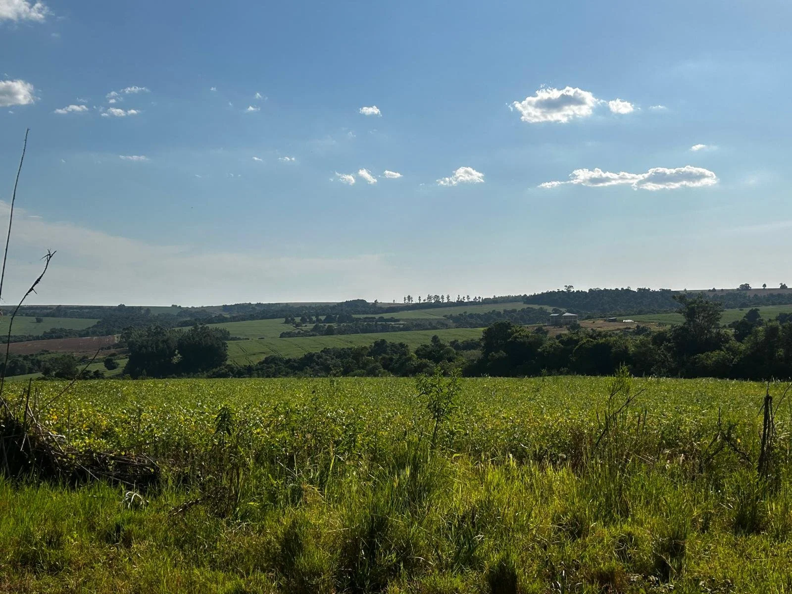 WhatsApp Image 2026-02-06 at 07.57.49.jpeg