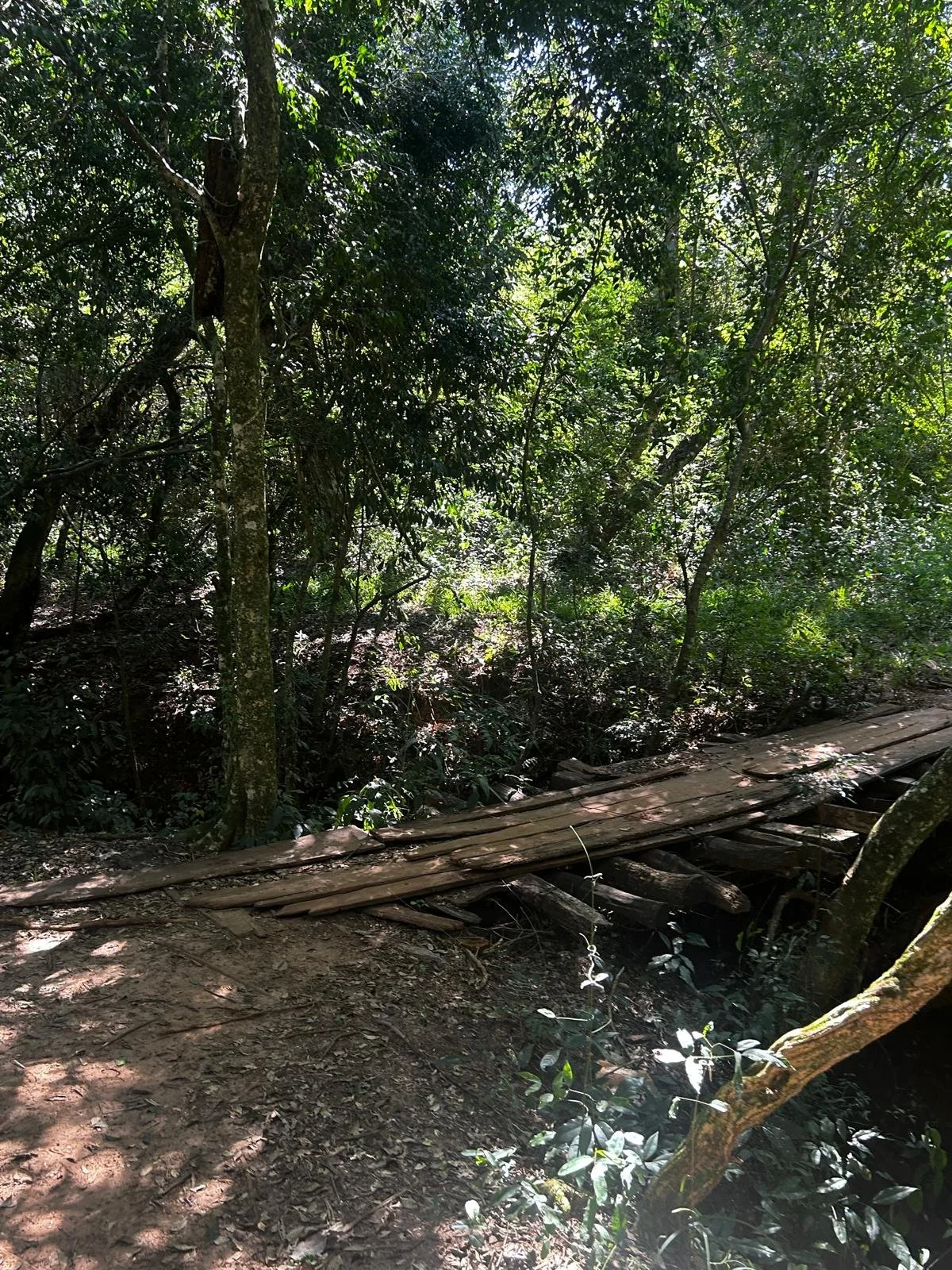 WhatsApp Image 2026-04-01 at 20.22.11 (1).jpeg