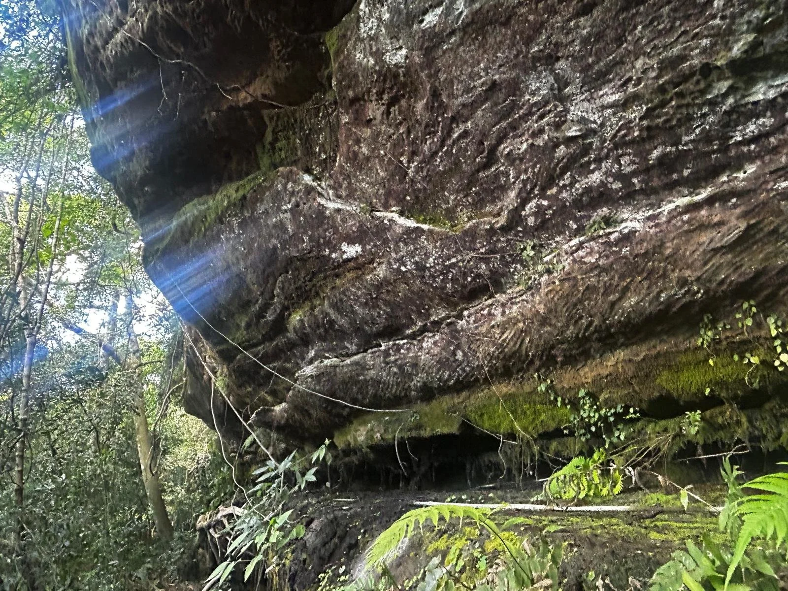 WhatsApp Image 2026-04-24 at 01.37.06 (4).jpeg