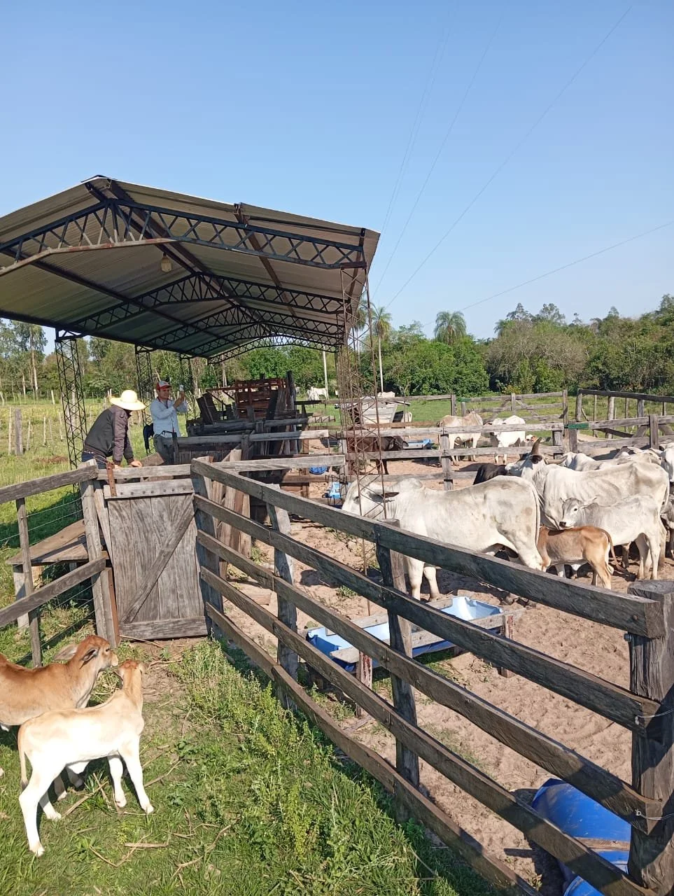 WhatsApp Image 2026-04-16 at 17.05.09.jpeg