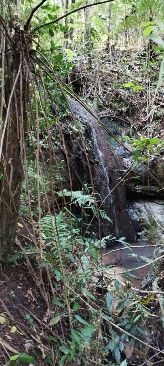 WhatsApp Image 2026-04-22 at 11.20.04 (1).jpeg