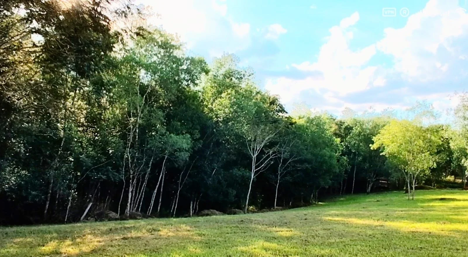 WhatsApp Image 2026-04-07 at 17.09.51.jpeg