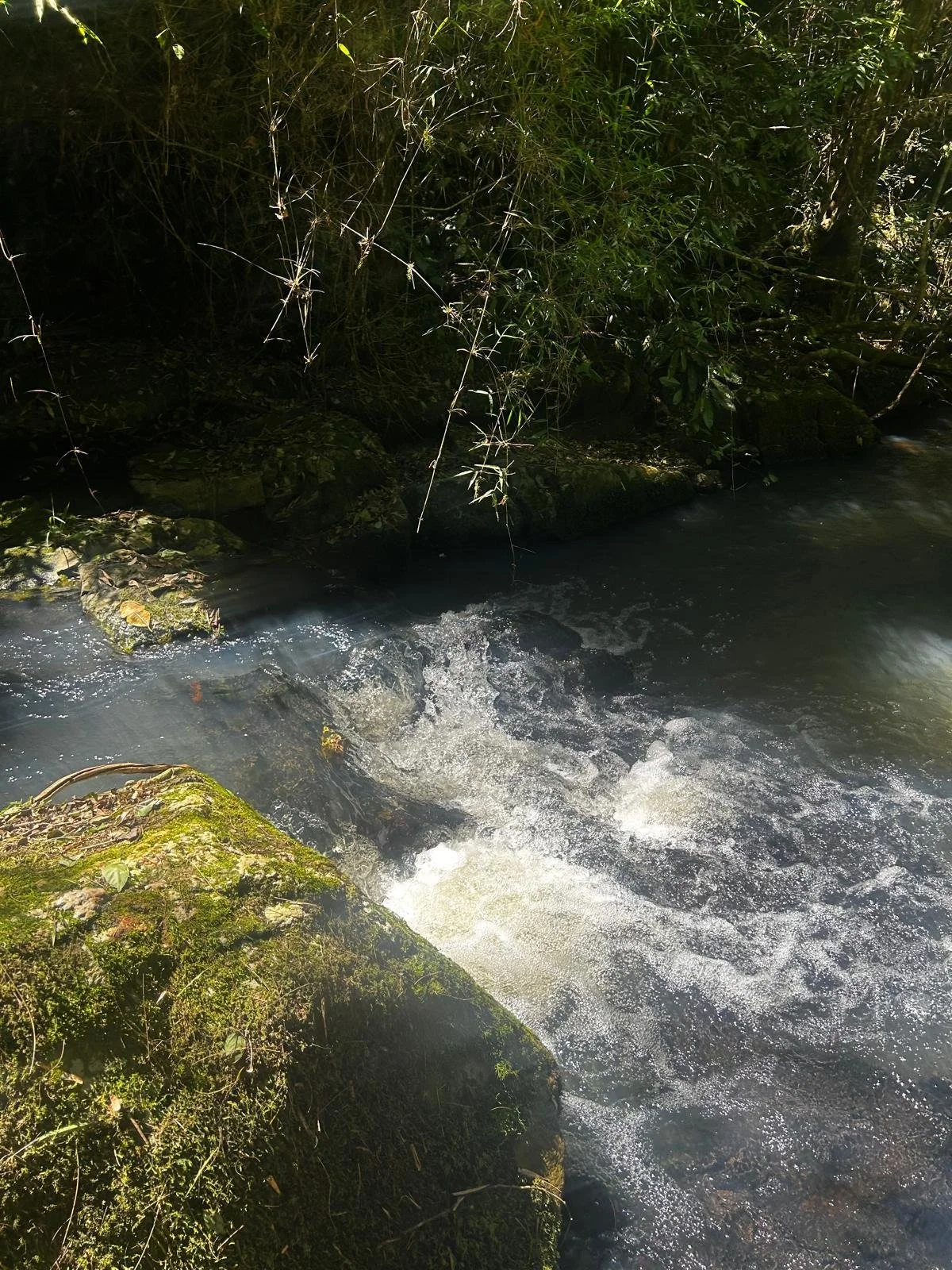 WhatsApp Image 2026-02-06 at 08.41.19.jpeg