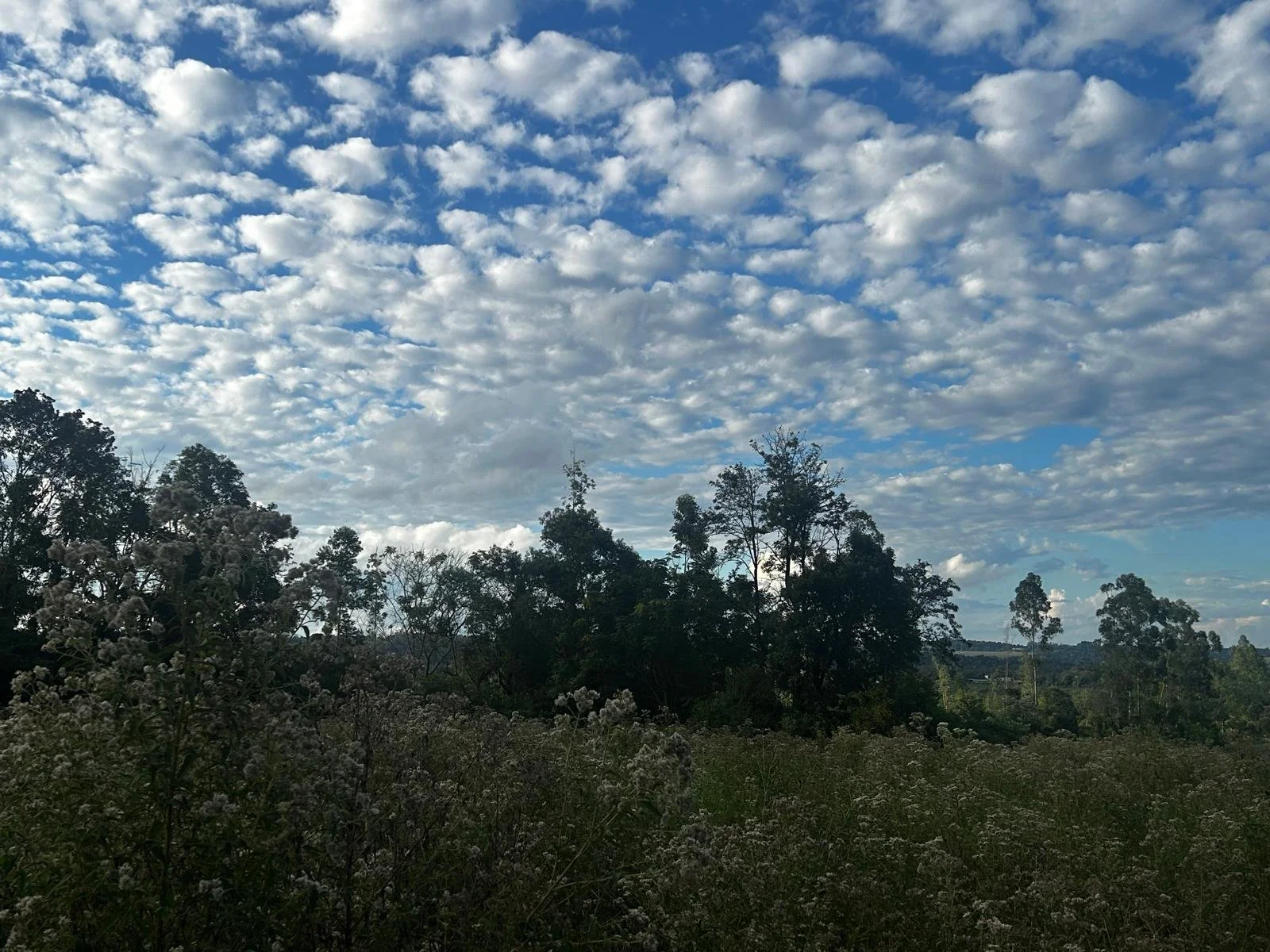 WhatsApp Image 2026-04-24 at 00.48.50.jpeg