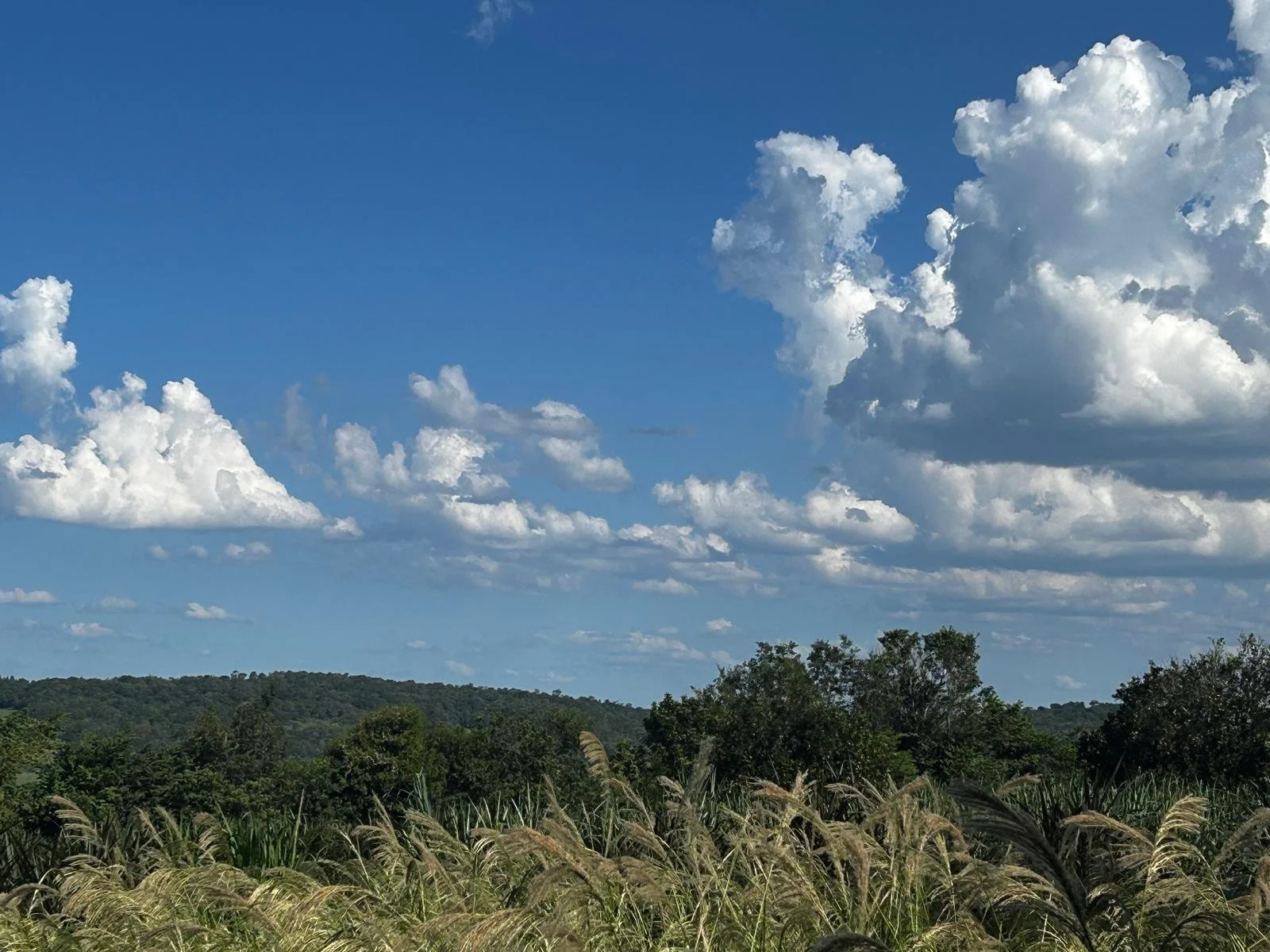 WhatsApp Image 2026-04-01 at 20.45.33 (2).jpeg