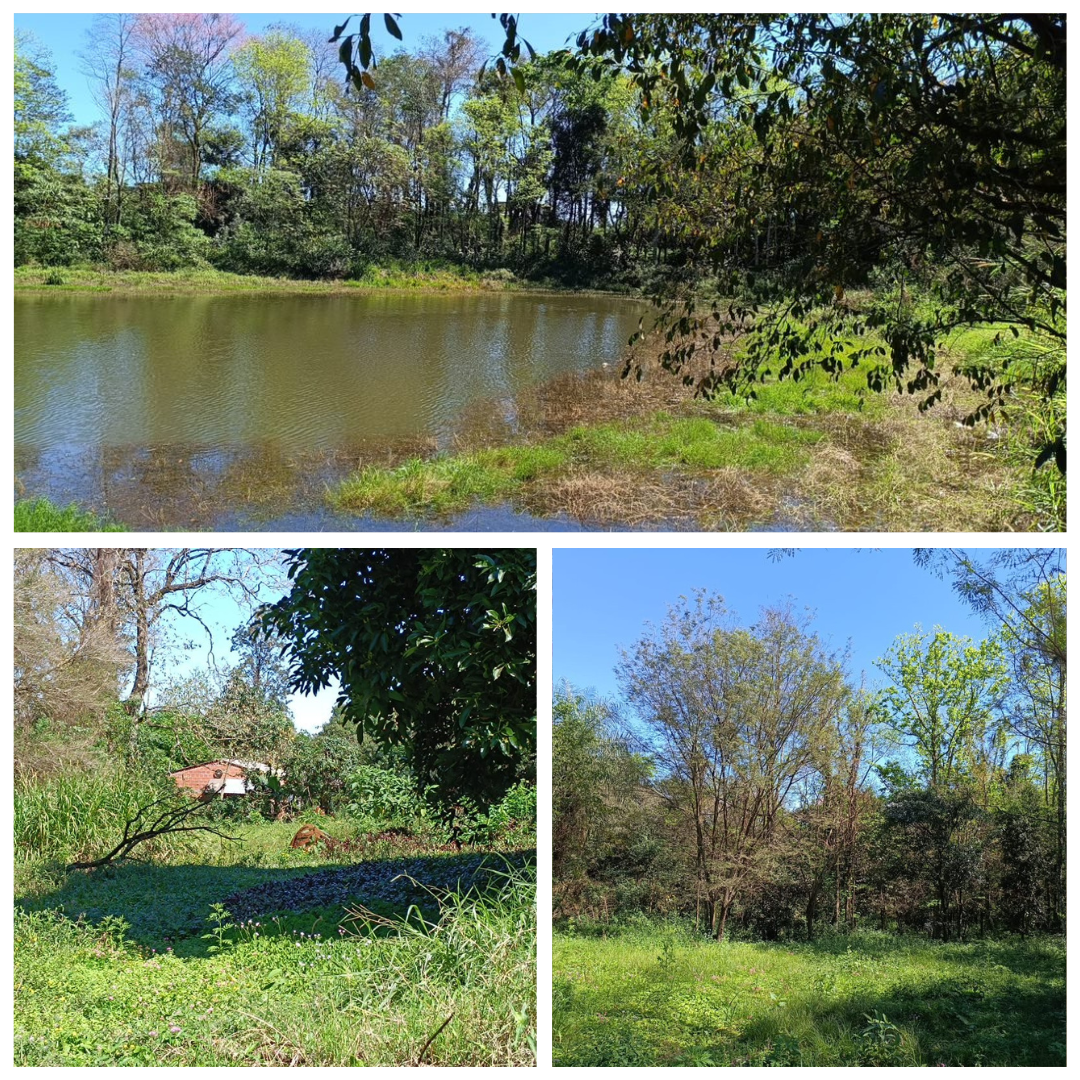 0,25 hectare - Obligado Alto