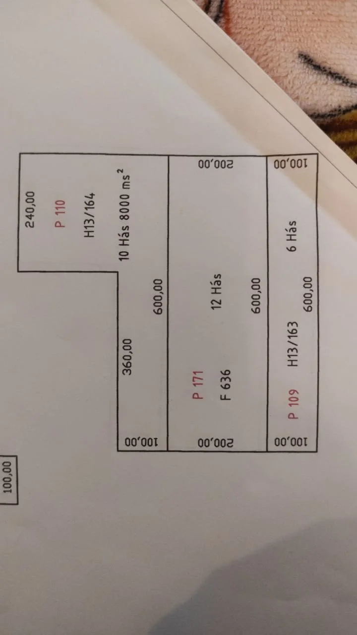 WhatsApp Image 2026-02-28 at 18.15.19.jpeg