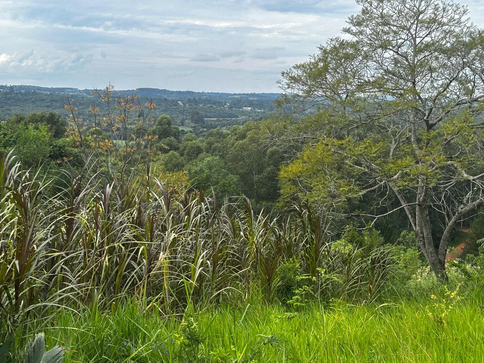 WhatsApp Image 2026-04-24 at 00.24.50 (5).jpeg