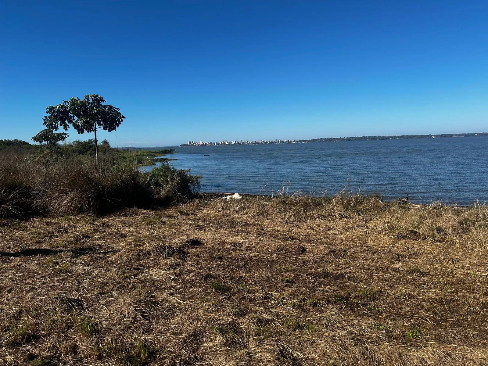 WhatsApp Image 2026-02-04 at 18.18.13.jpeg