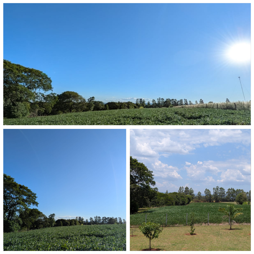 2 hectare bouw- en landbouwgrond te koop in Obligado