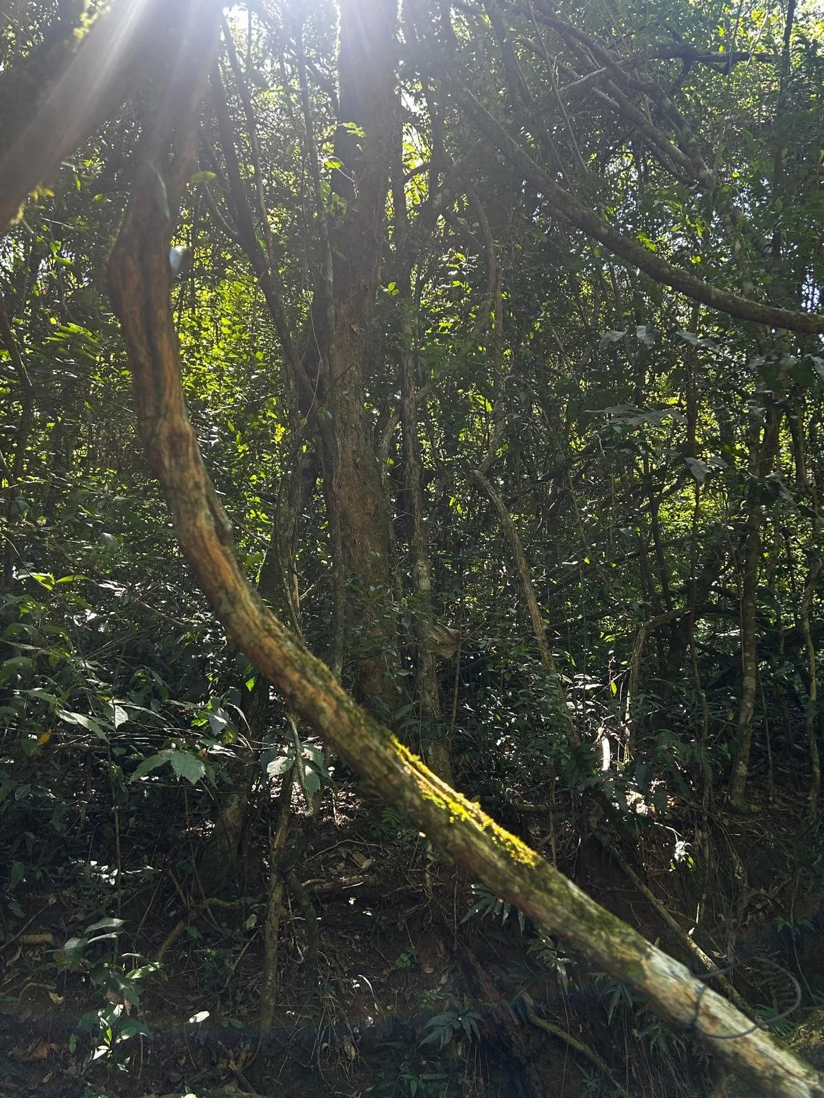 WhatsApp Image 2026-04-01 at 20.22.12 (1).jpeg