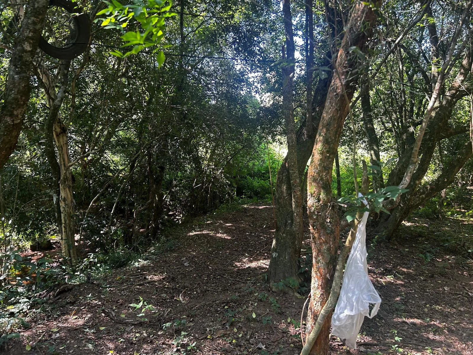 WhatsApp Image 2026-04-01 at 20.22.12 (2).jpeg